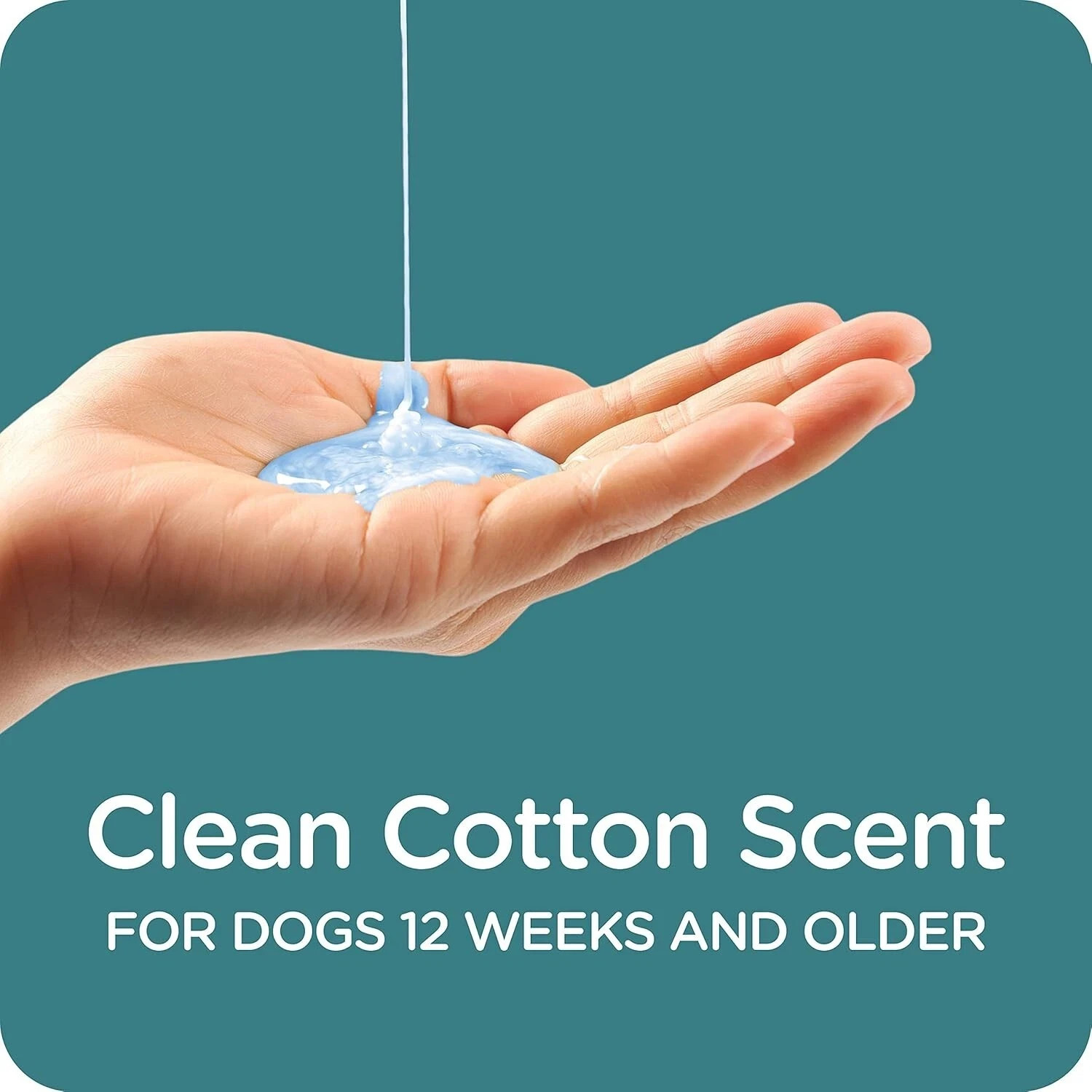 Sergeant’s Guardian Flea & Tick Dog Shampoo, Clean Cotton Scent, 18 oz.