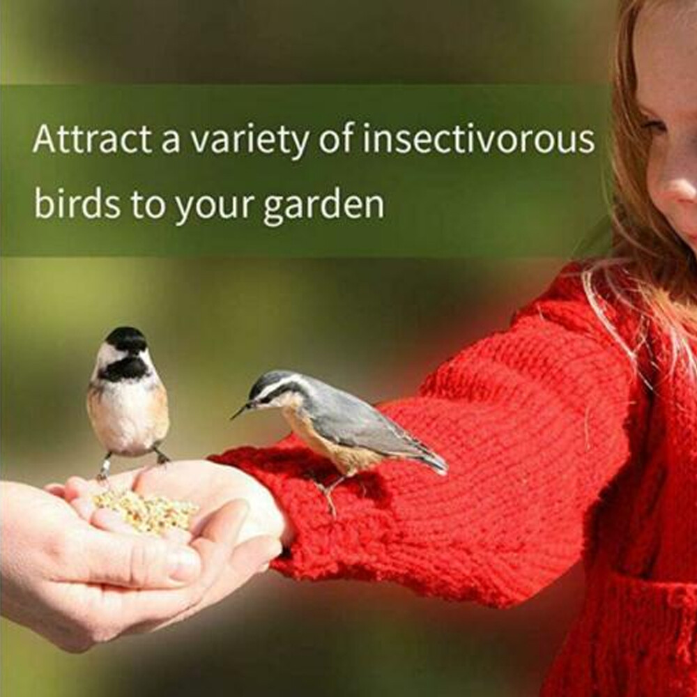 LUCKYQ Organic Dried Mealworms For Chicken Treats Duck Feed Organic Meal Worms