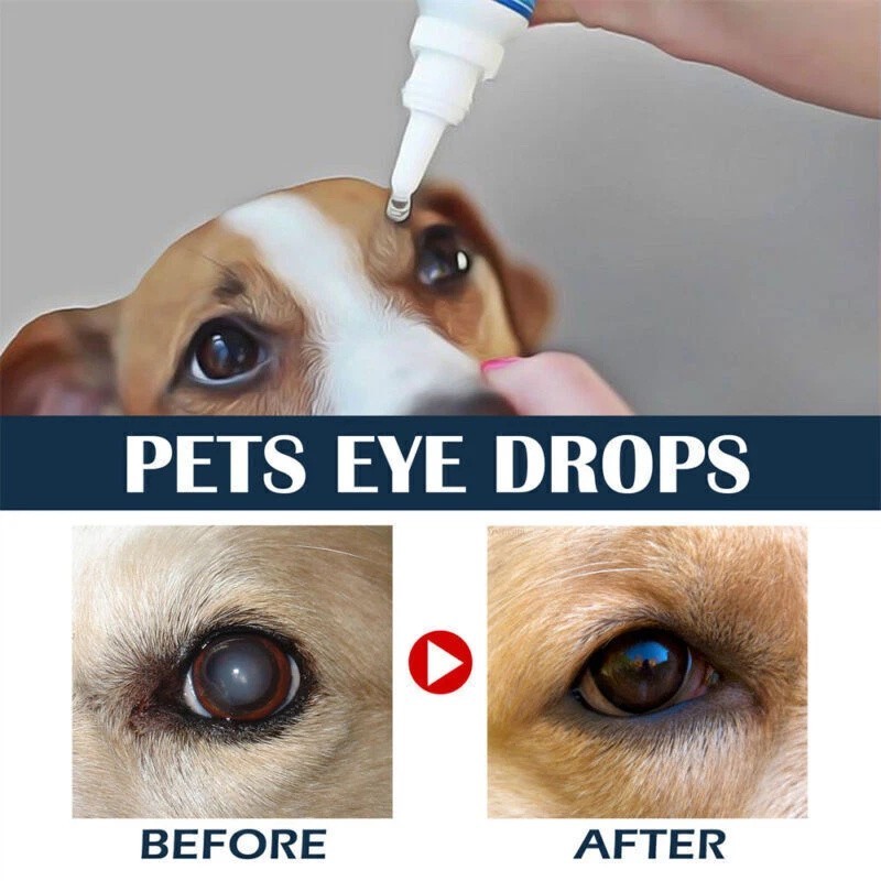 3pc Eye Drops for Pets Bacterial,Viral and Fungal & Infections Dog Cat Treatment