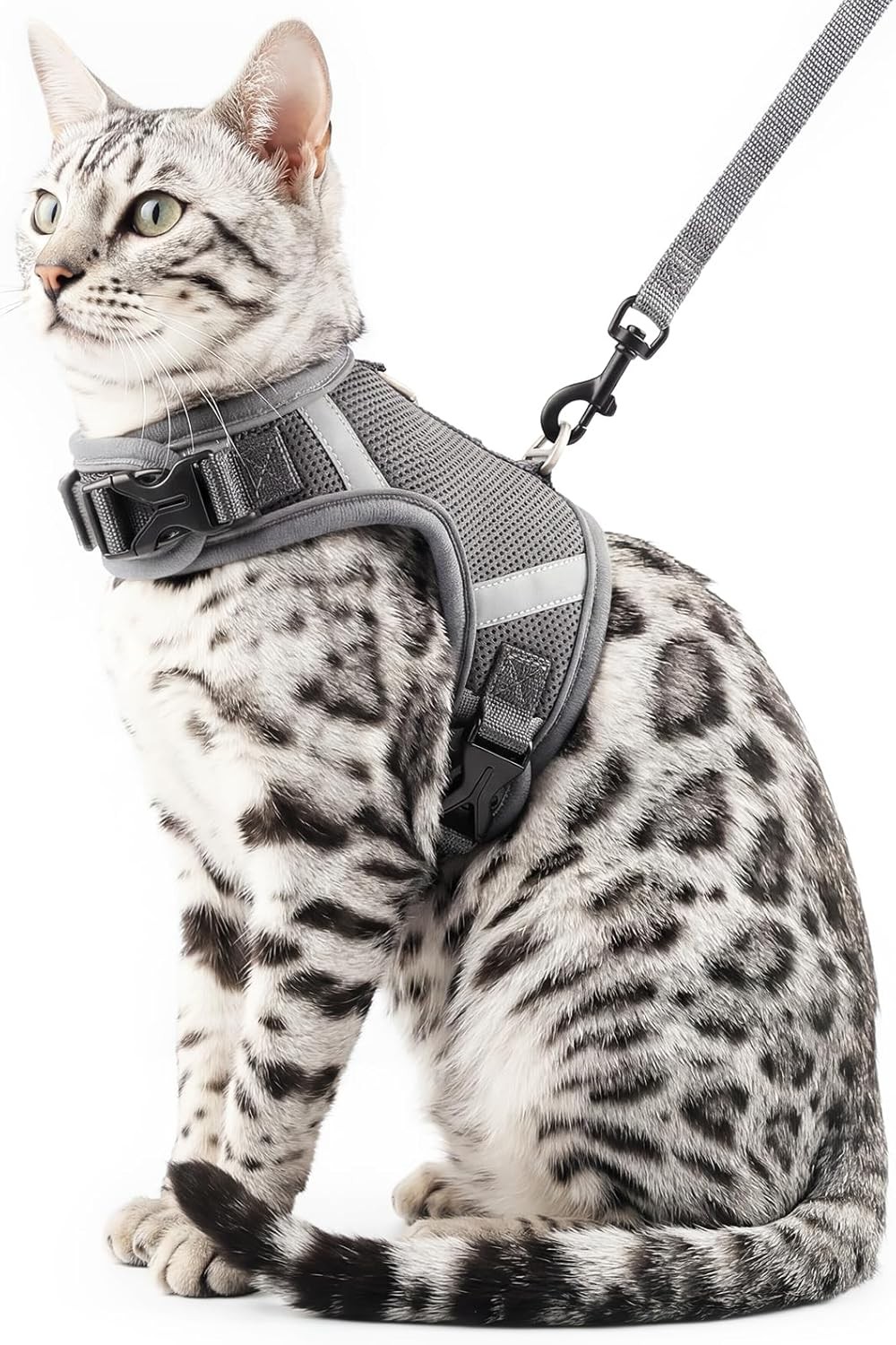 Escape Proof Cat Harness Leash Set Adjustable Reflective Vest Comfortable
