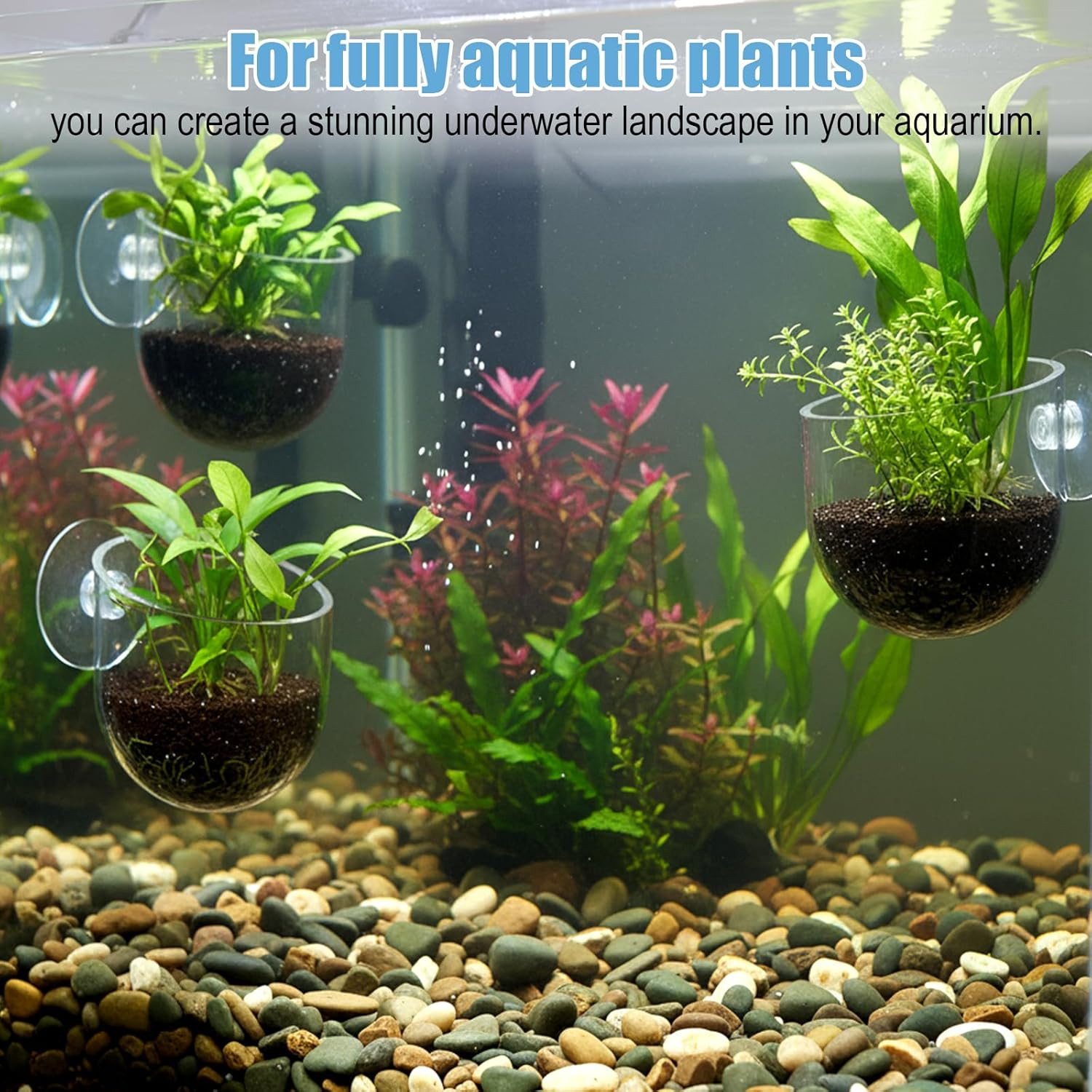 3 Pack Clear Fish Tank Plant Holder Aquatic Plant Cups Fishes Tanks Plants Pot A