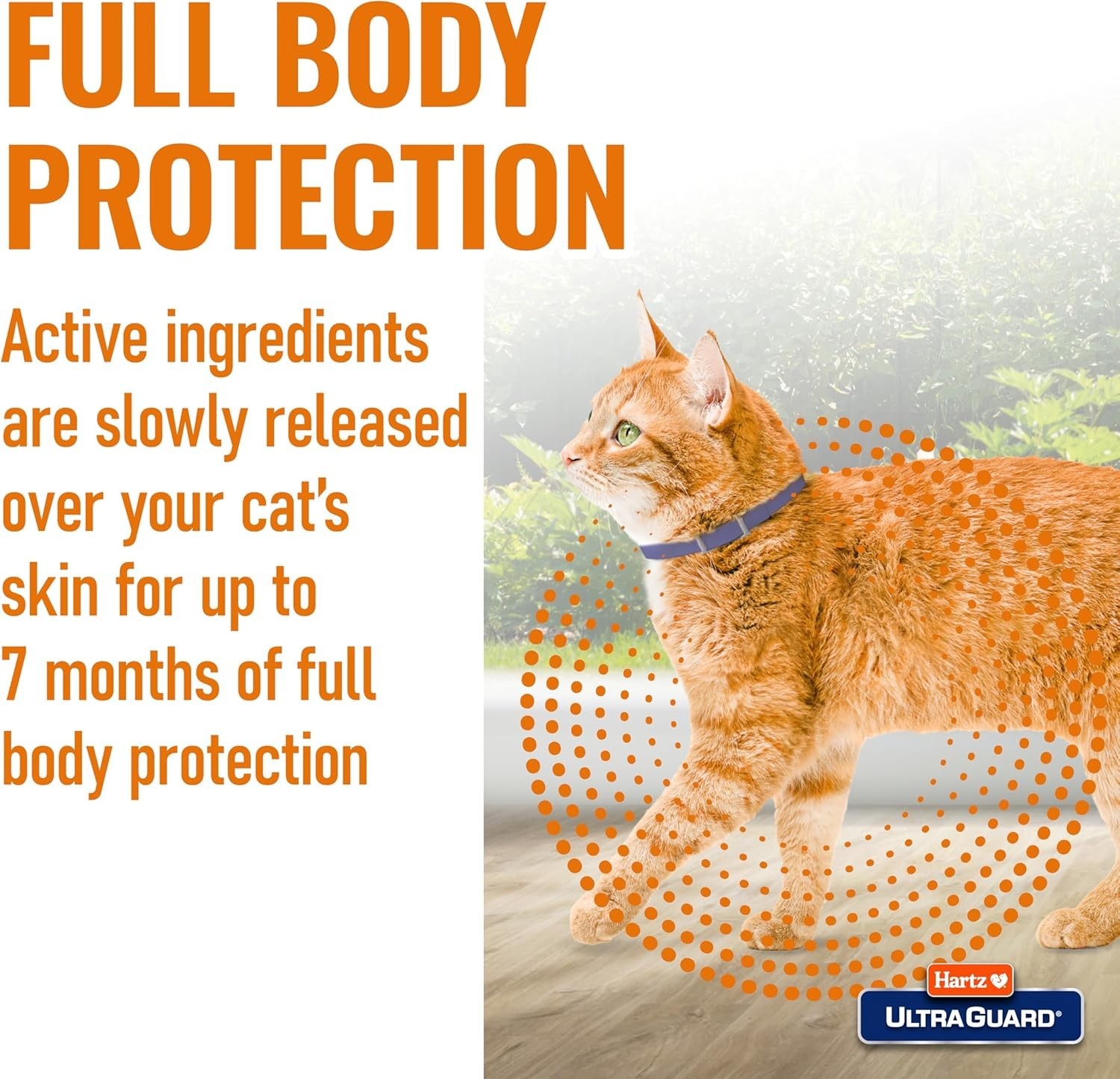 Hartz UltraGuard Flea & Tick Collar for Cats & Kittens 7 Months Protection, 1ct*
