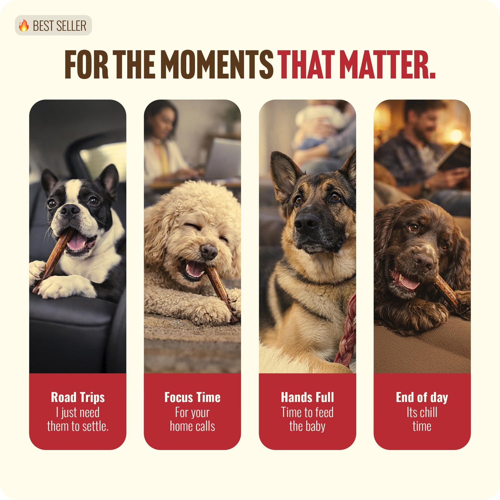 Odor Free Bully Sticks 2-3″ for Dogs – 100% Beef, Non-GMO, Grain-Free Chews