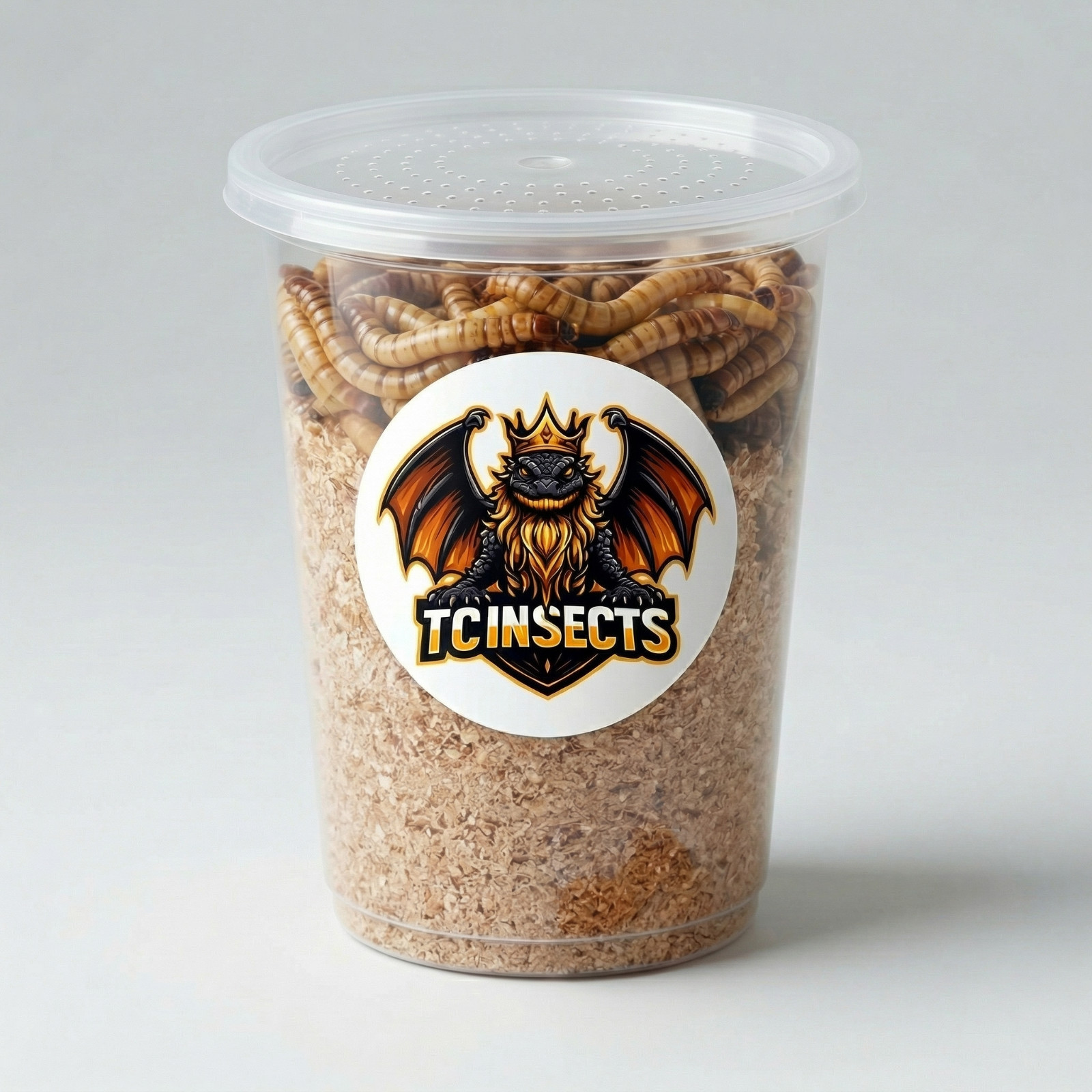 TC INSECTS Live Superworms Feeder Insects for Reptiles Amphibians Birds & More