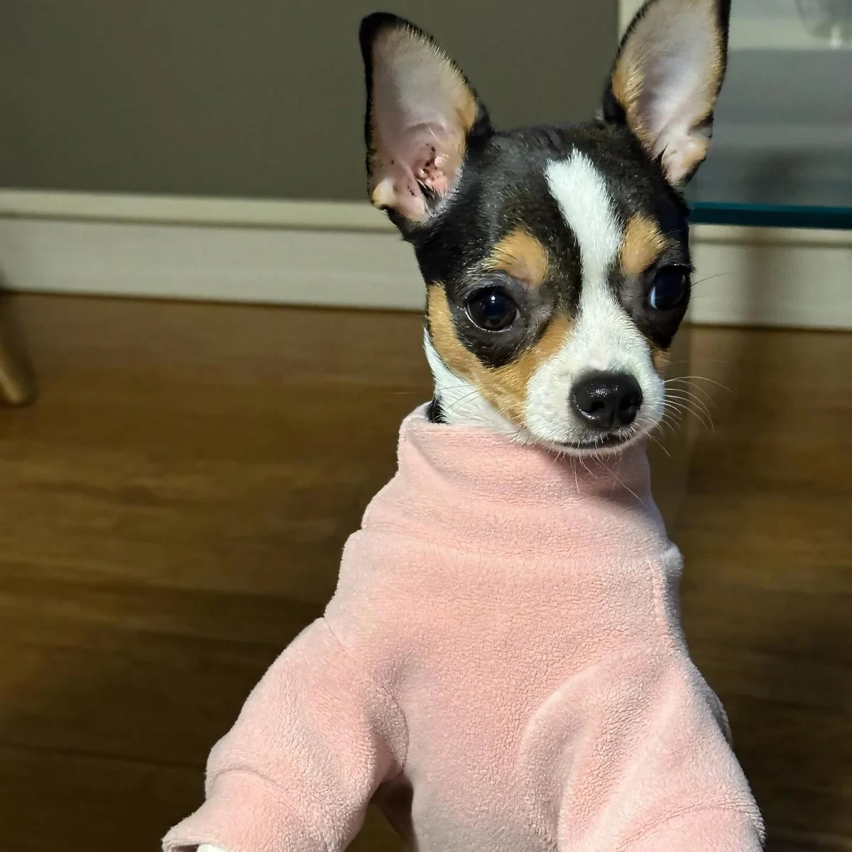 Fitwarm 3 Pack Luxury Fleece Dog Turtleneck Sweaters Pink / Purple XS–L NEW