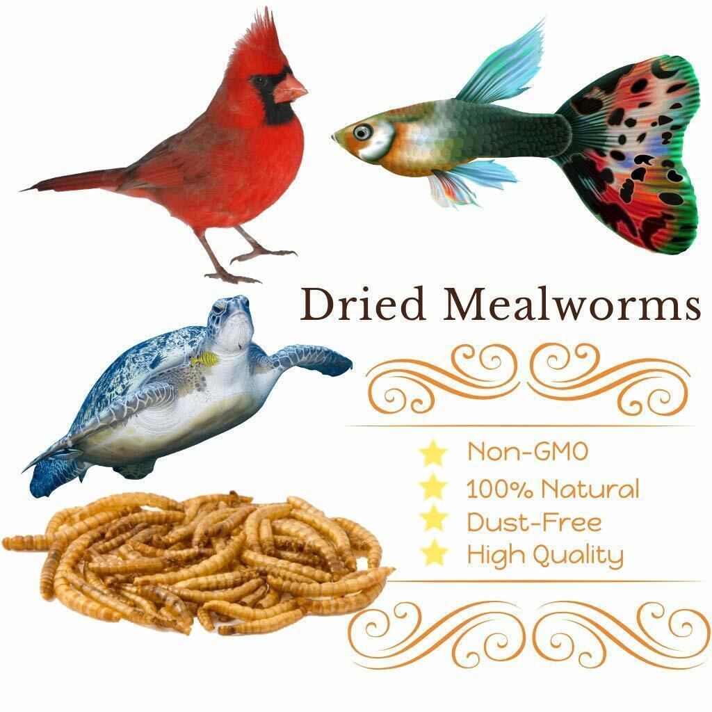 Wholesale Bulk Dried Mealworms for Wild Birds Food Blue Bird Chickens Hen Treats