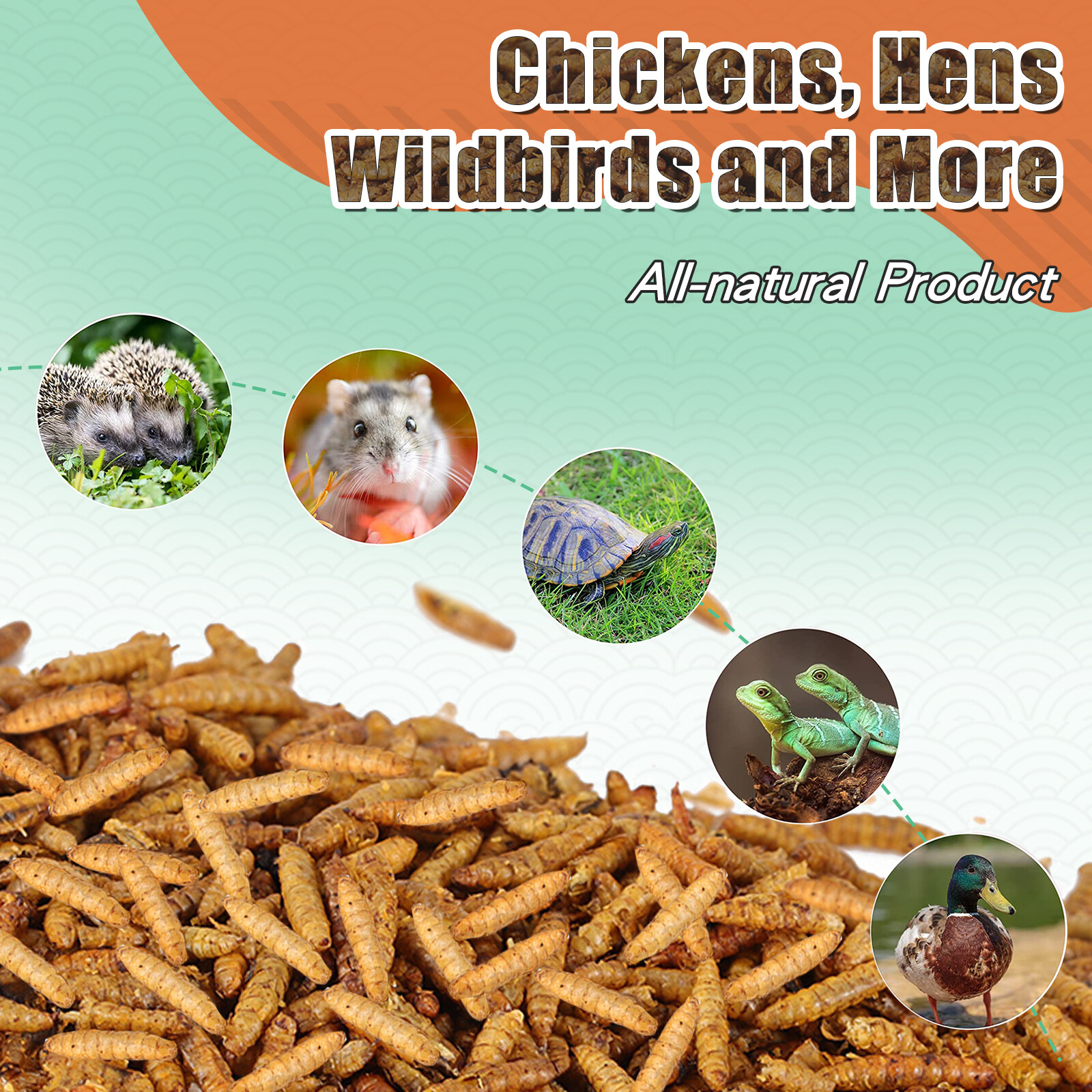 5-44LB Dried Black Soldier Fly Larvae for Chicken Feed Birds Treat Mealworm Lot
