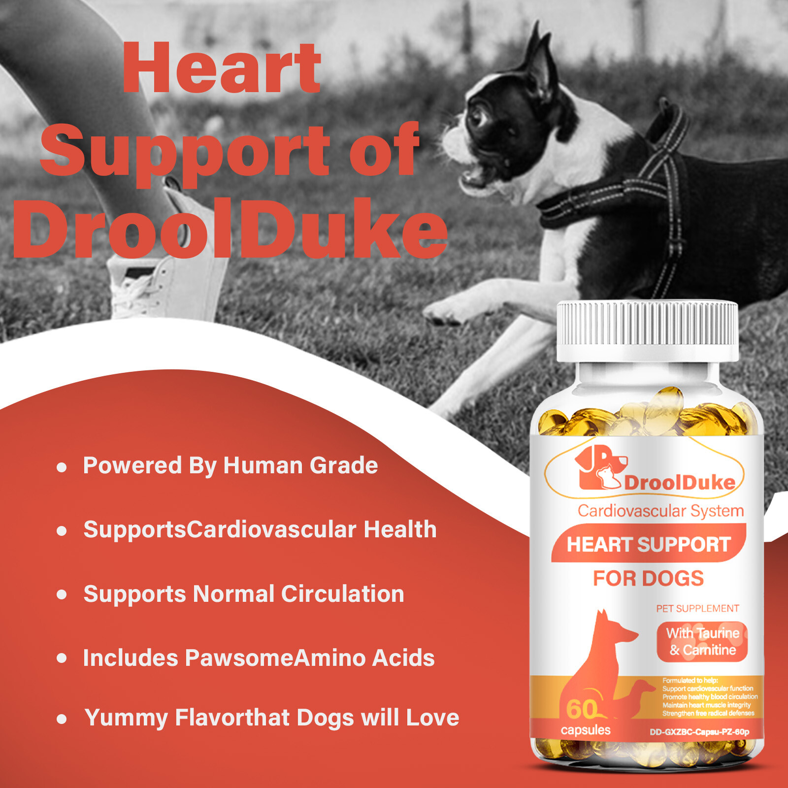 Dog heart supplements help regulate heart rate w/L-Taurine, L-Carnitine & CoQ10