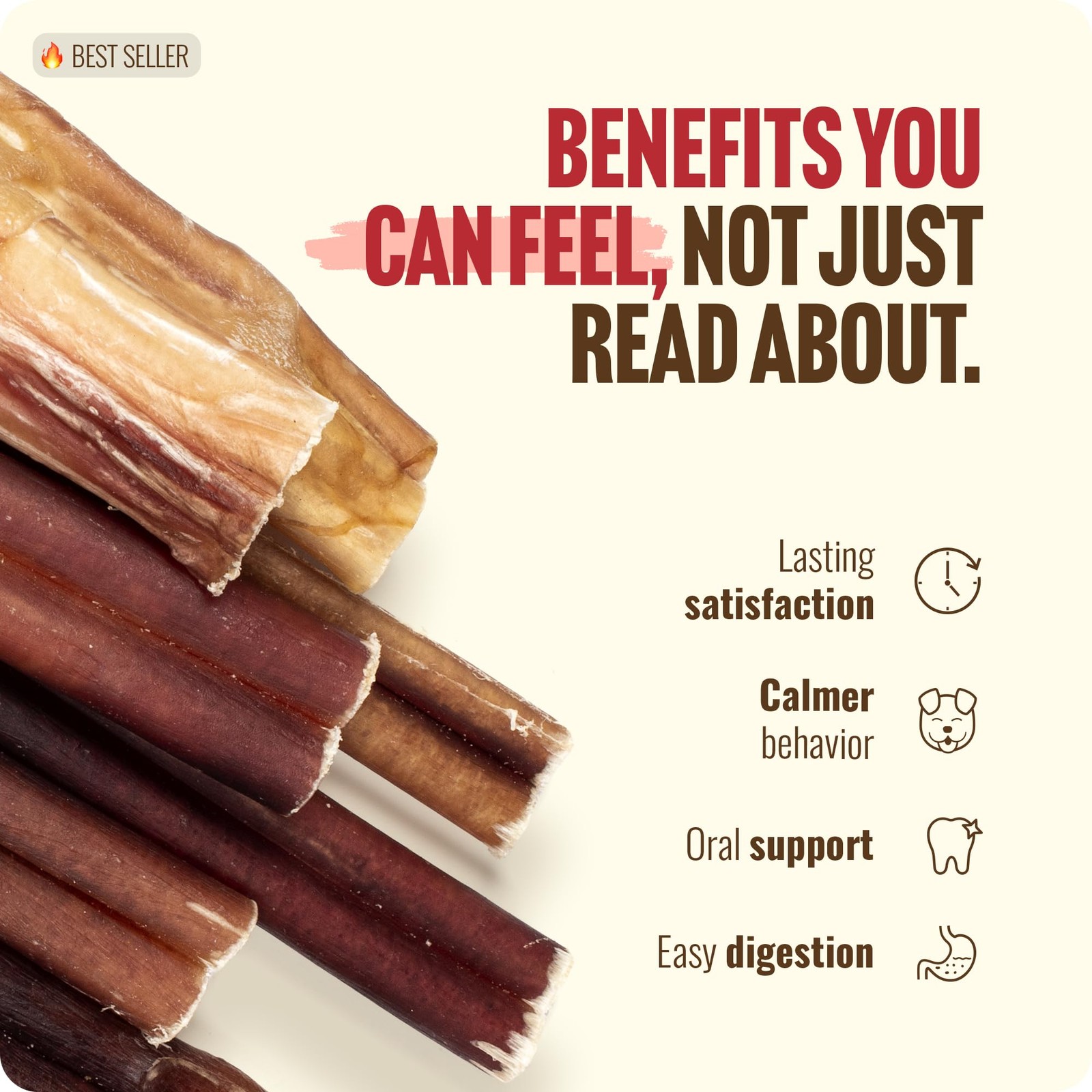 Odor Free Bully Sticks 2-3″ for Dogs – 100% Beef, Non-GMO, Grain-Free Chews