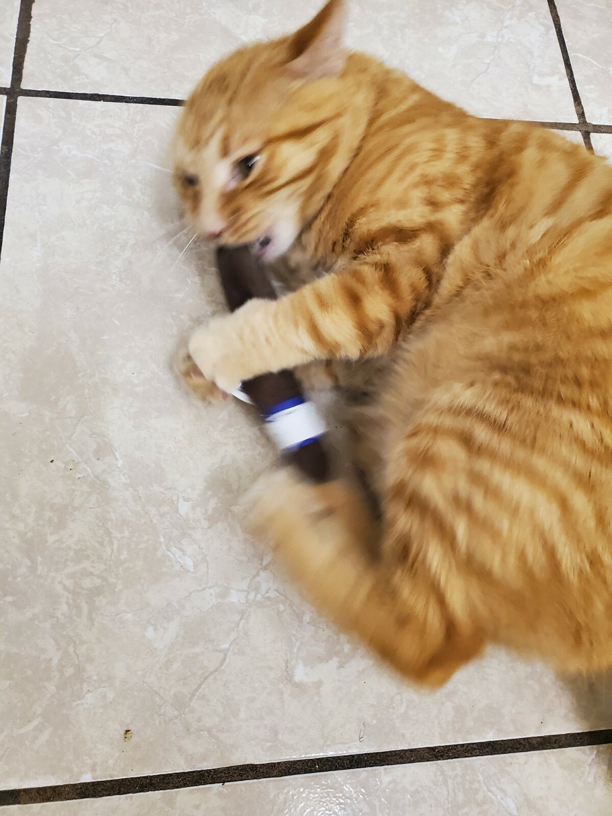 Captain Catnip Organic Cat Nip filled Cigar Toy Cats Love it Potent