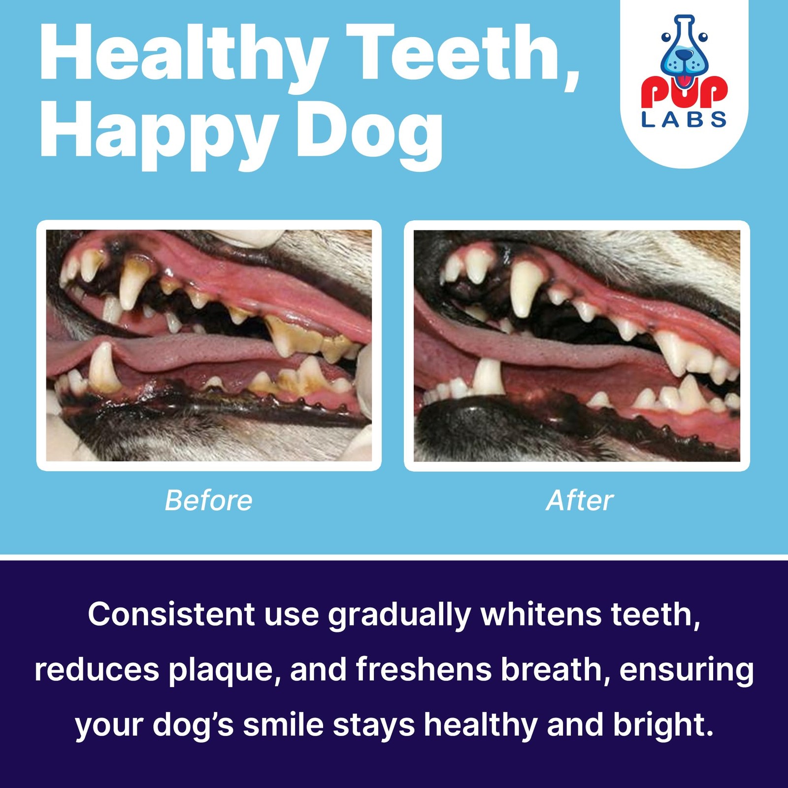 Pup Labs ProDenta, All-Natural Dog Dental Powder for Teeth Cleaning, Dental Powd
