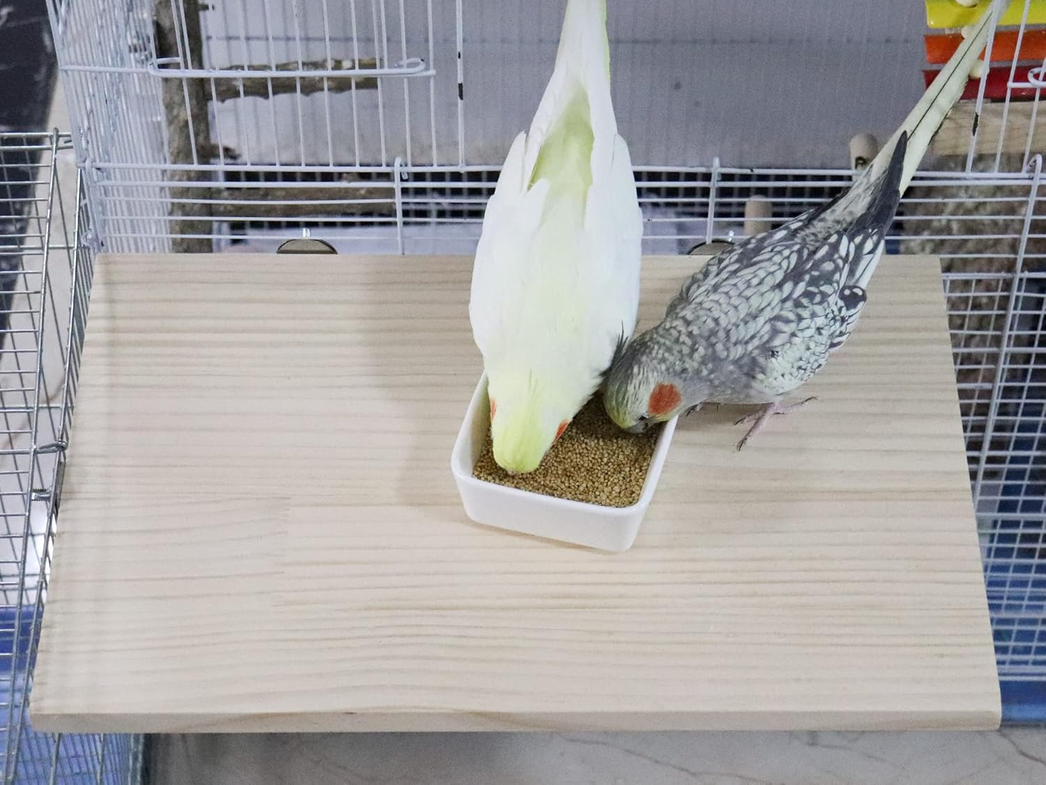 15.7×10.4 Inches Large Bird Perch Stand Platform, Natural Wooden Small Animals C