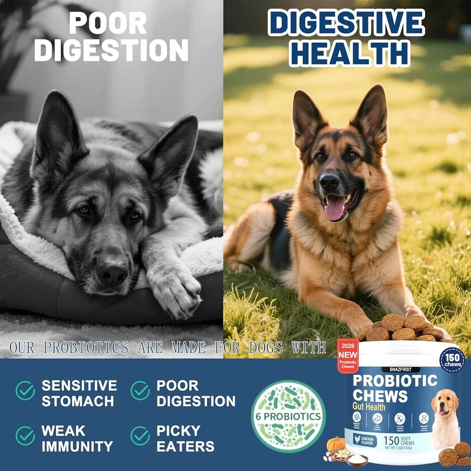 Probiotics for Dogs, Dog Probiotics Chews for Digestive Health & Gut Health, …