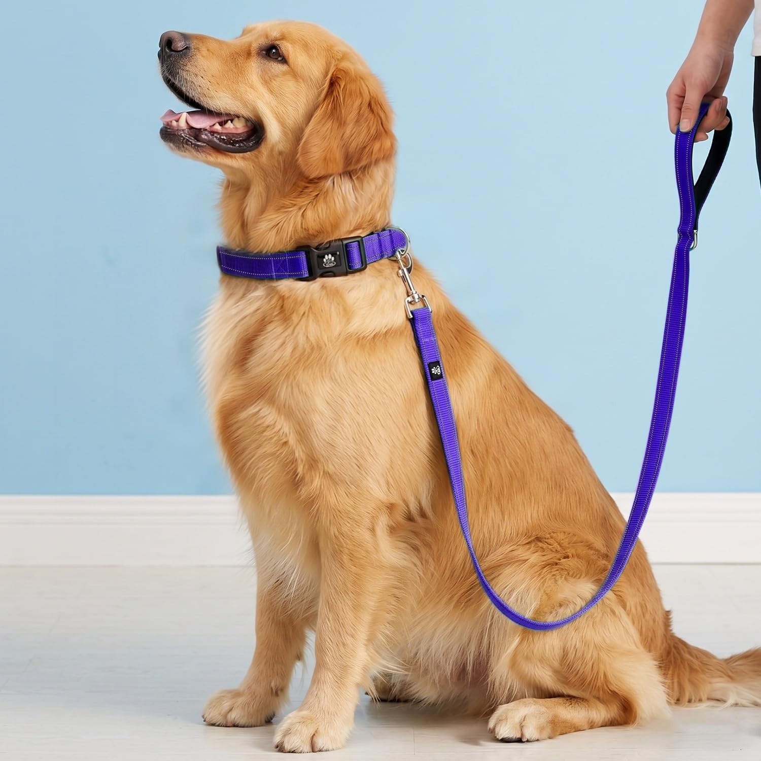 FURRYFECTION Reflective Medium(16-20″ Length,1.0″ Width), Purple Collar+Leash
