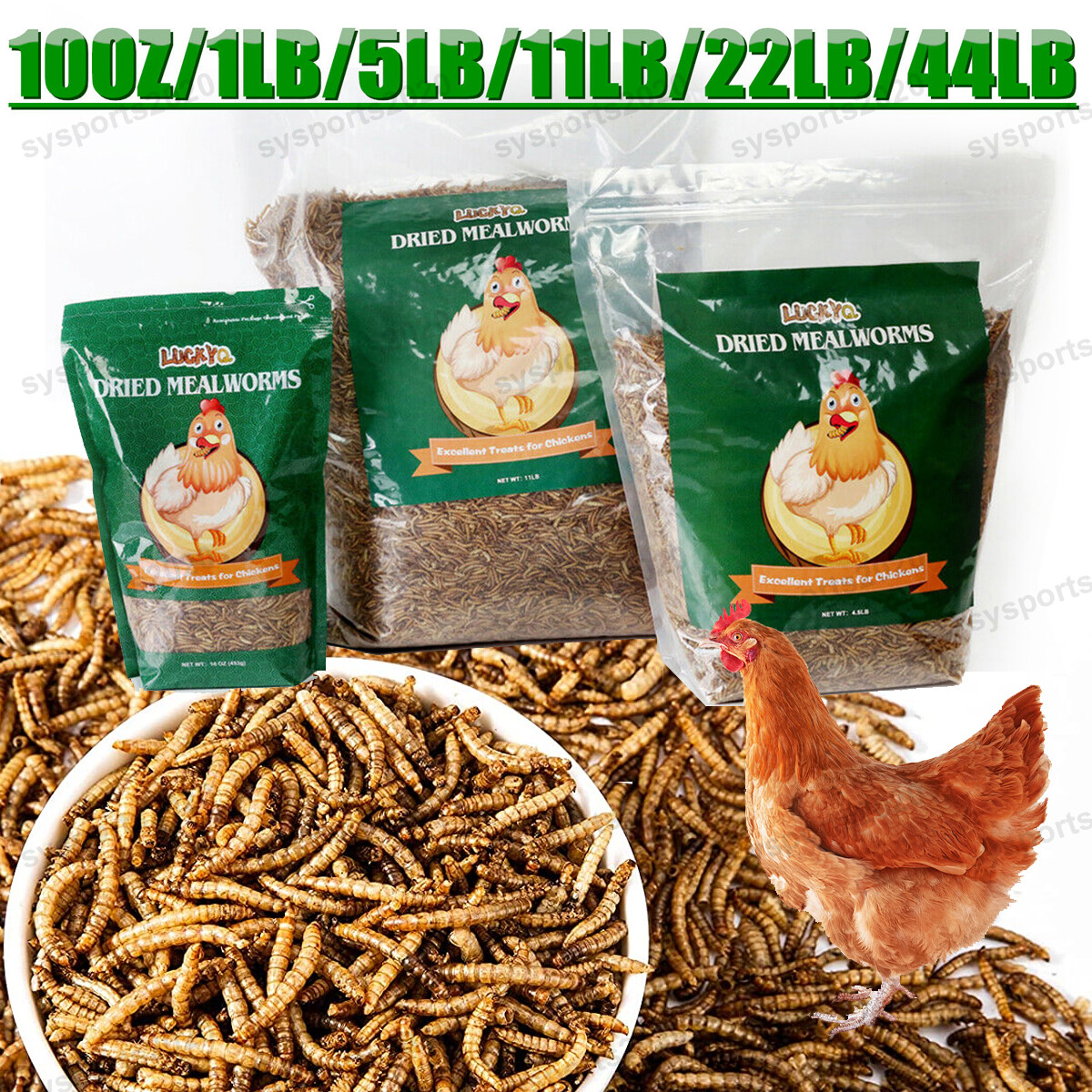 Bulk Dried Mealworms for Wild Blue Birds Hen Reptile Treats Non-GMO 11 44LBS