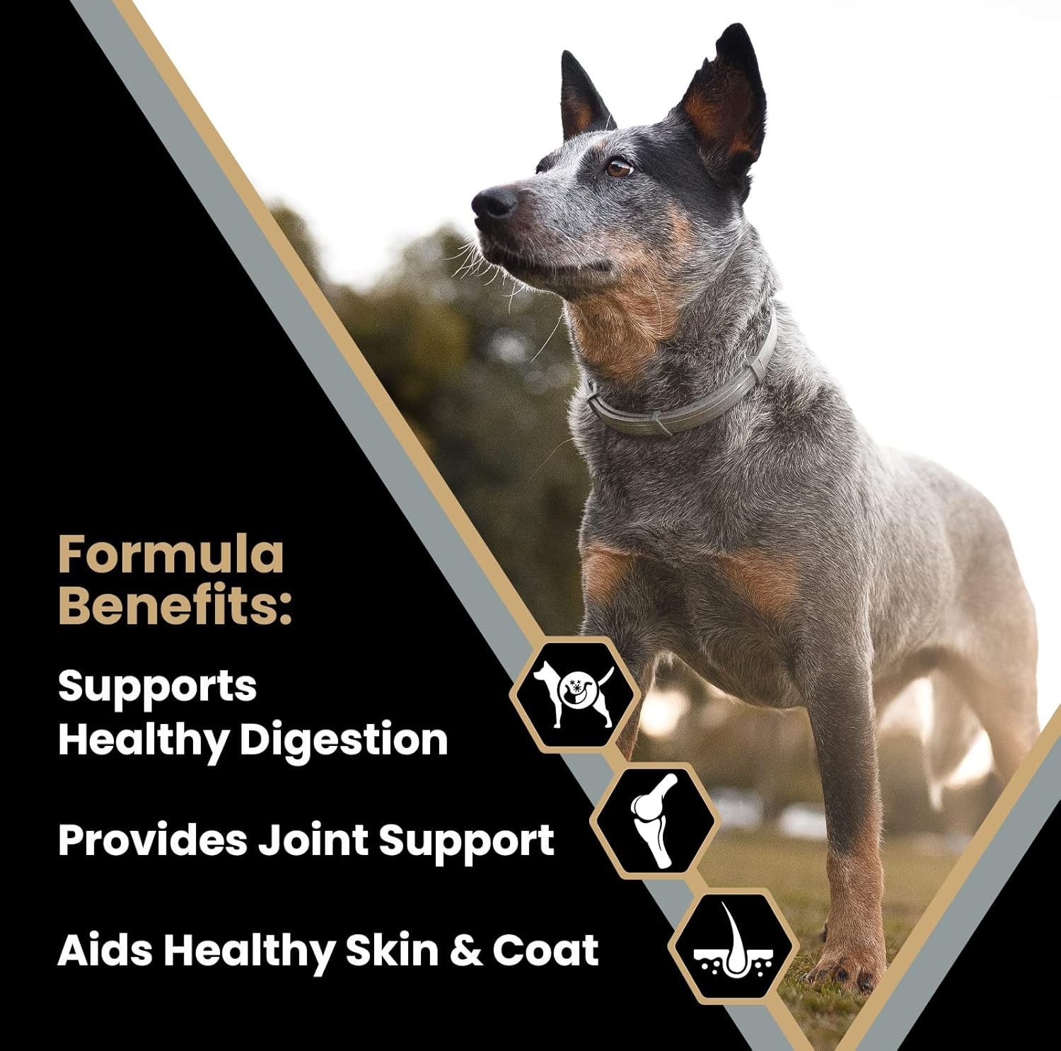 Super Premium Dog Food – Purpose – Senior Healthy Weight Management – Dry Dog