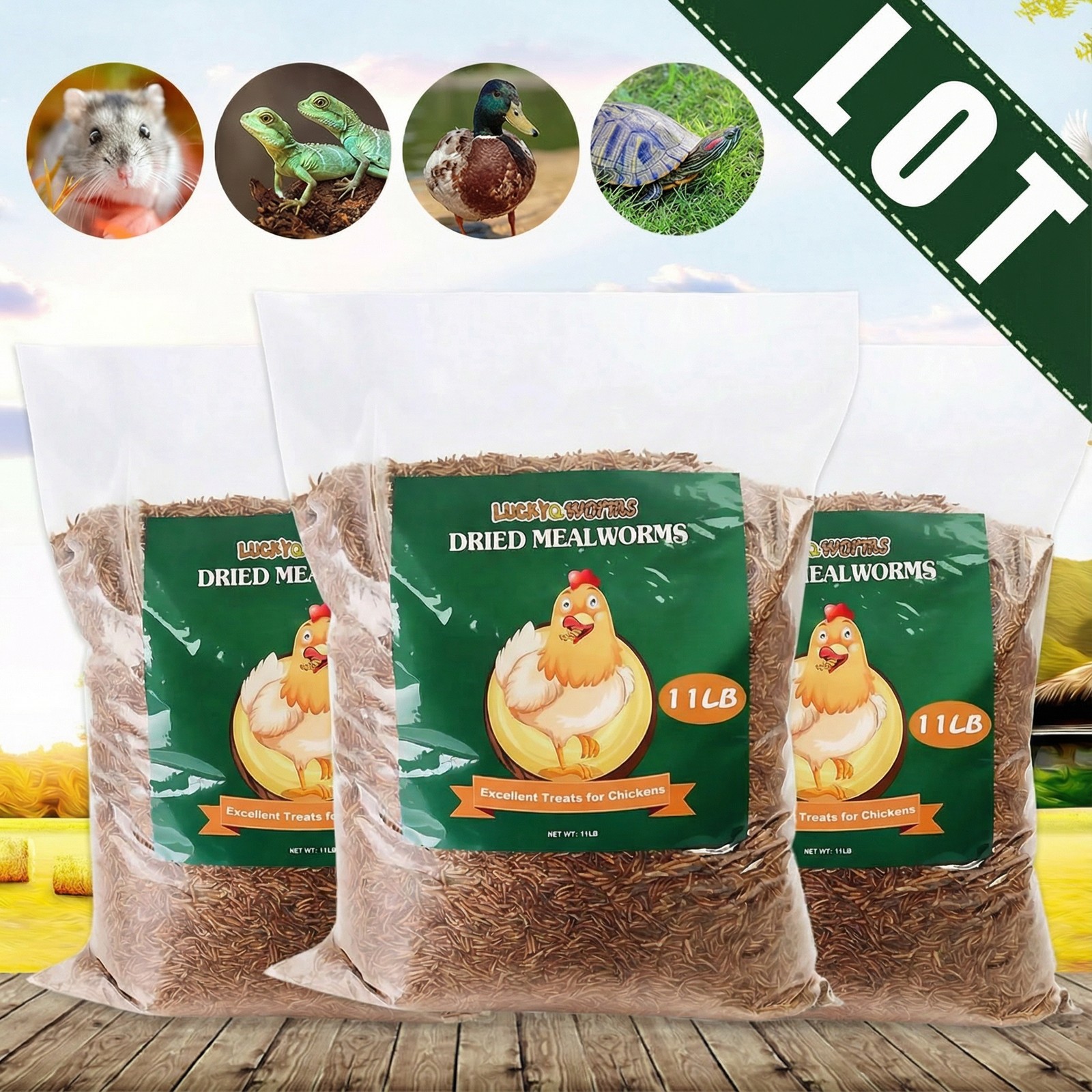 Bulk Dried Mealworms for Wild Blue Birds Hen Reptile Treats Non-GMO