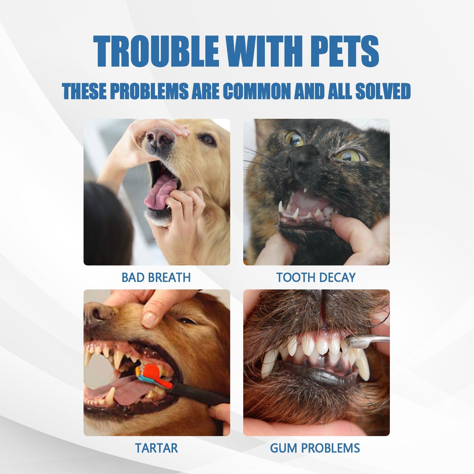 Daily Pet Oral Foam Spray for Dogs & Cats – Fresh Breath & Clean Teeth