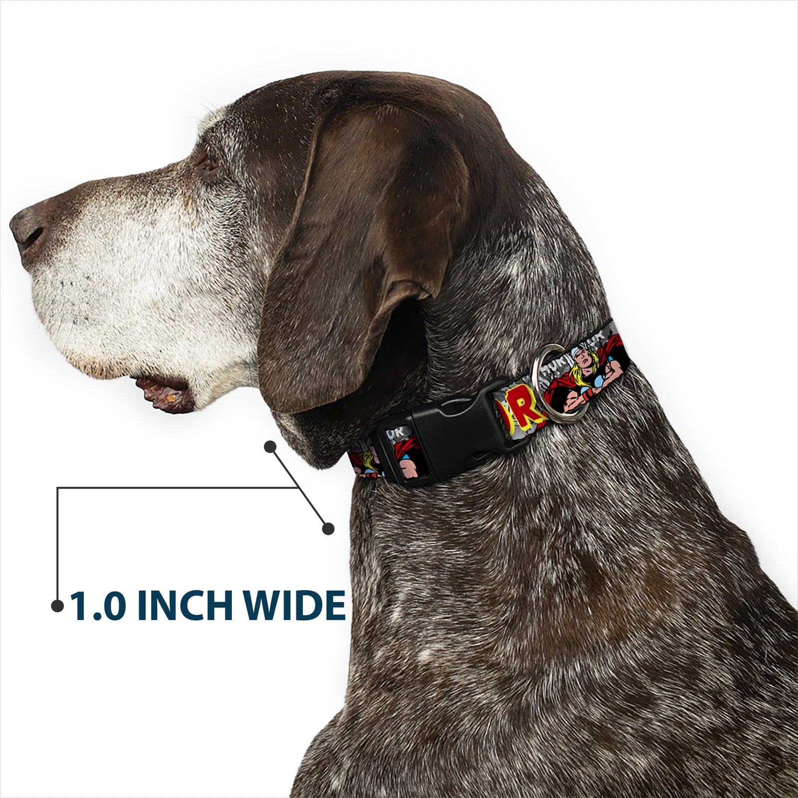 The Mighty Thor Action Poses Plastic Clip Dog Collar 1.0 Inch Wide 1526 Inch