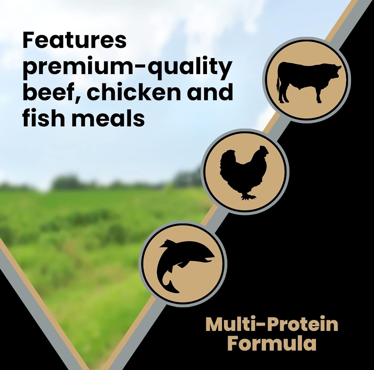 Super Premium Dog Food – Purpose – Senior Healthy Weight Management – Dry Dog