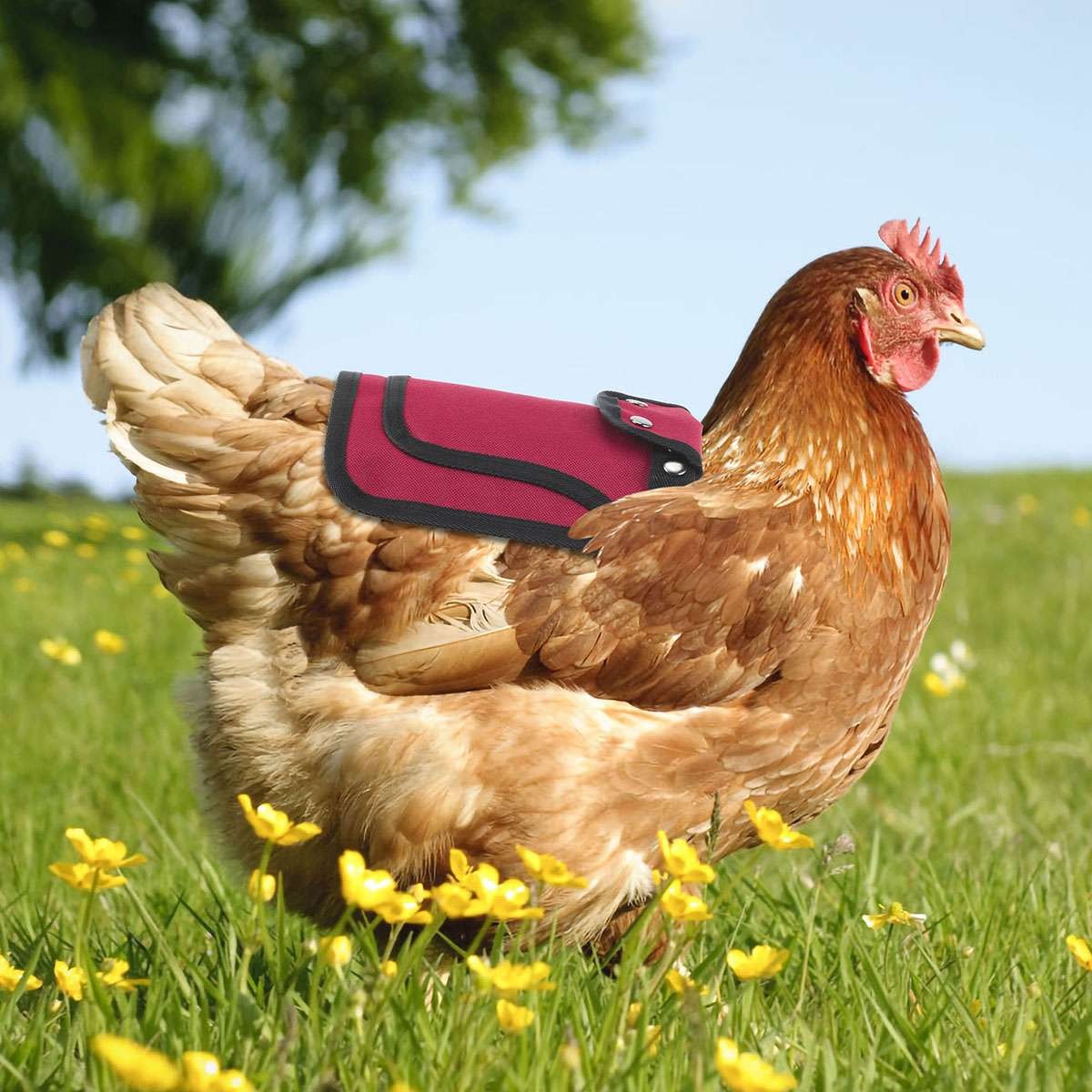 3 Pack Chicken Saddle Apron Hen Back Protector Waterproof Canvas Poultry Guard