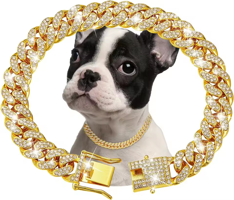 Gold Tone Metal Chain Dog Collar for Small Medium Large Dogs