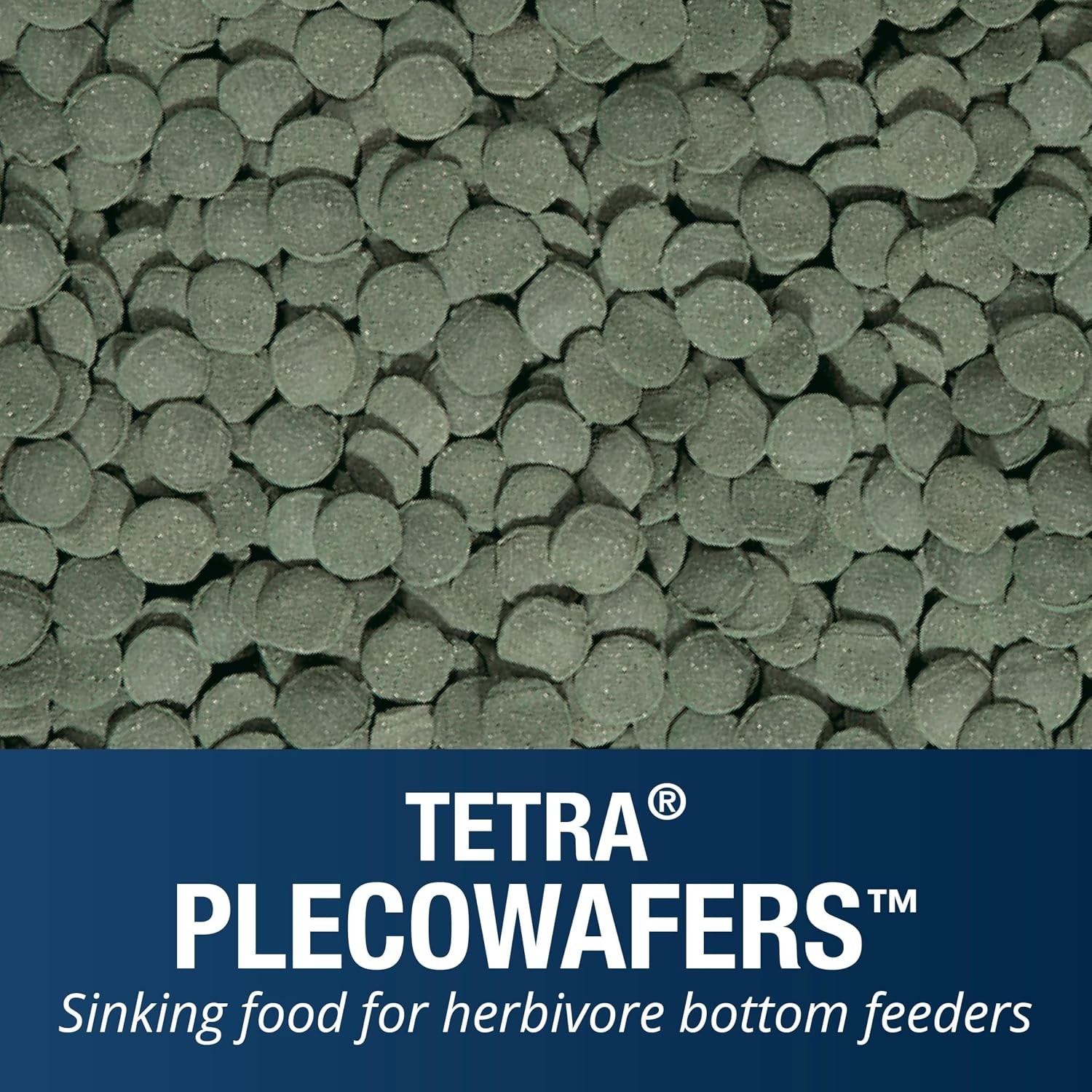 Tetra PlecoWafers for Algae-Eating Fish, 6.5 Ounces, Complete Daily Diet for Her