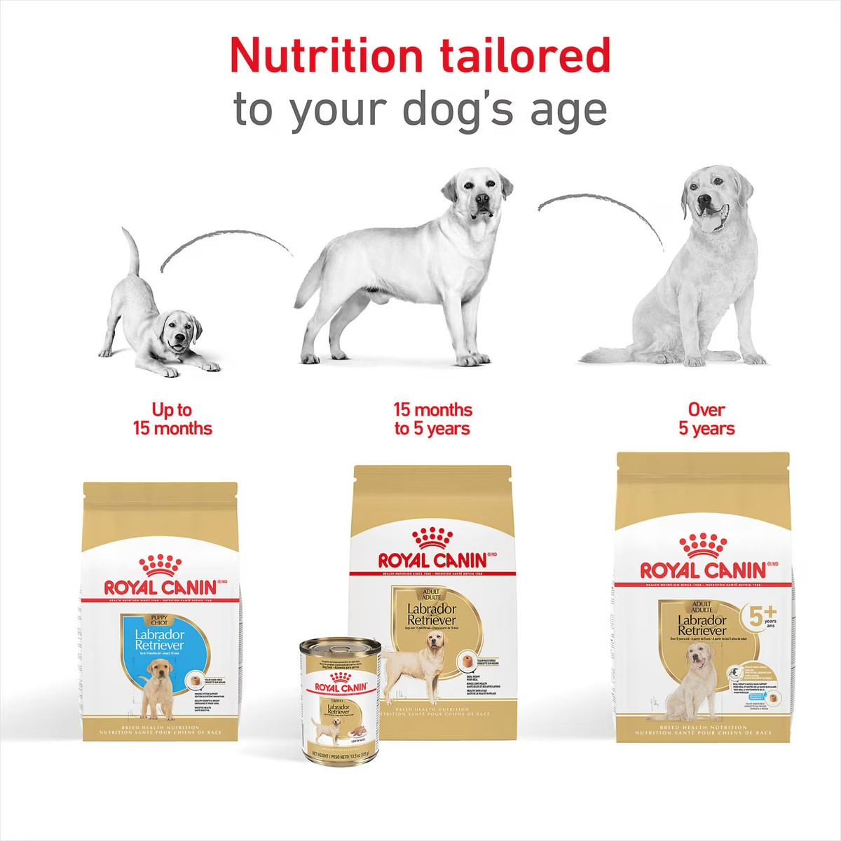 Royal Canin Breed Health Nutrition Labrador Retriever Adult Dry Dog Food 30 Lb