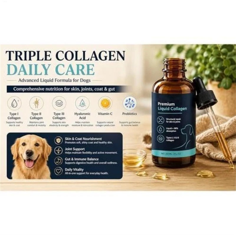 Healthy Petz Premium Liquid Collagen For Dogs, Supplement With Collagen, 60ml