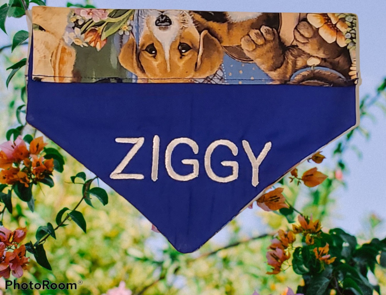 PERSONALIZED reversible embroidered over the collar DOG BANDANA – Design Ur Own!