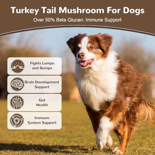 Turkey Tail Mushroom Supplement Dogs Cats 60g