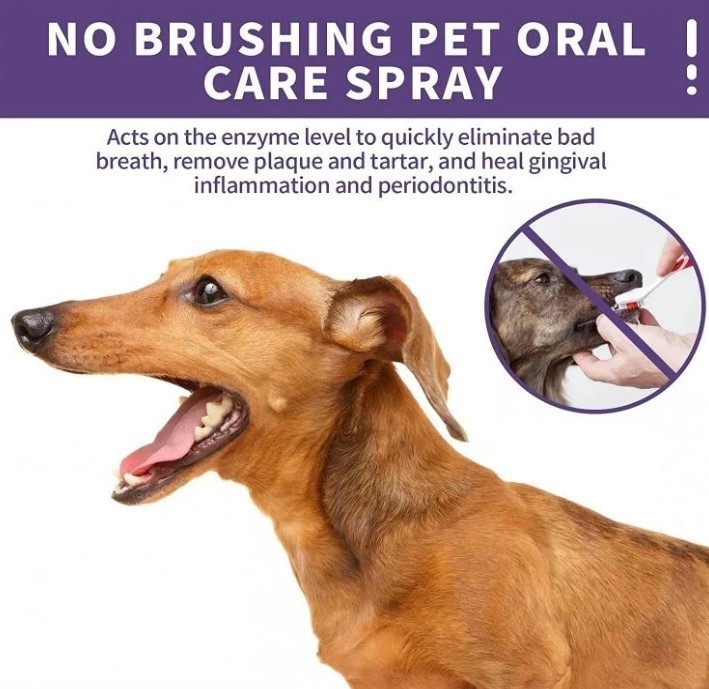 Teeth Cleaning Spray for Dogs & Cats Pet Oral Spray Clean Teeth 50ML 1PK