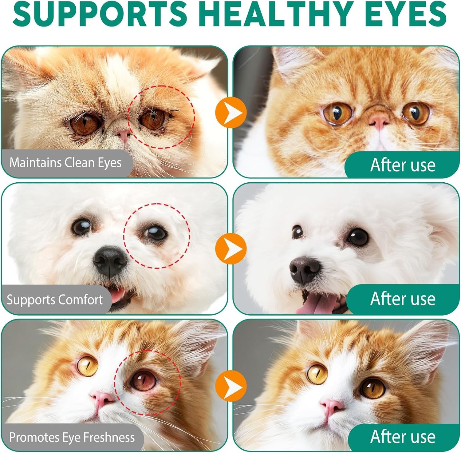 Dog Eye Drops, Eye Infection Treatment for Dogs and Cats,Soothe Infection ,100ml