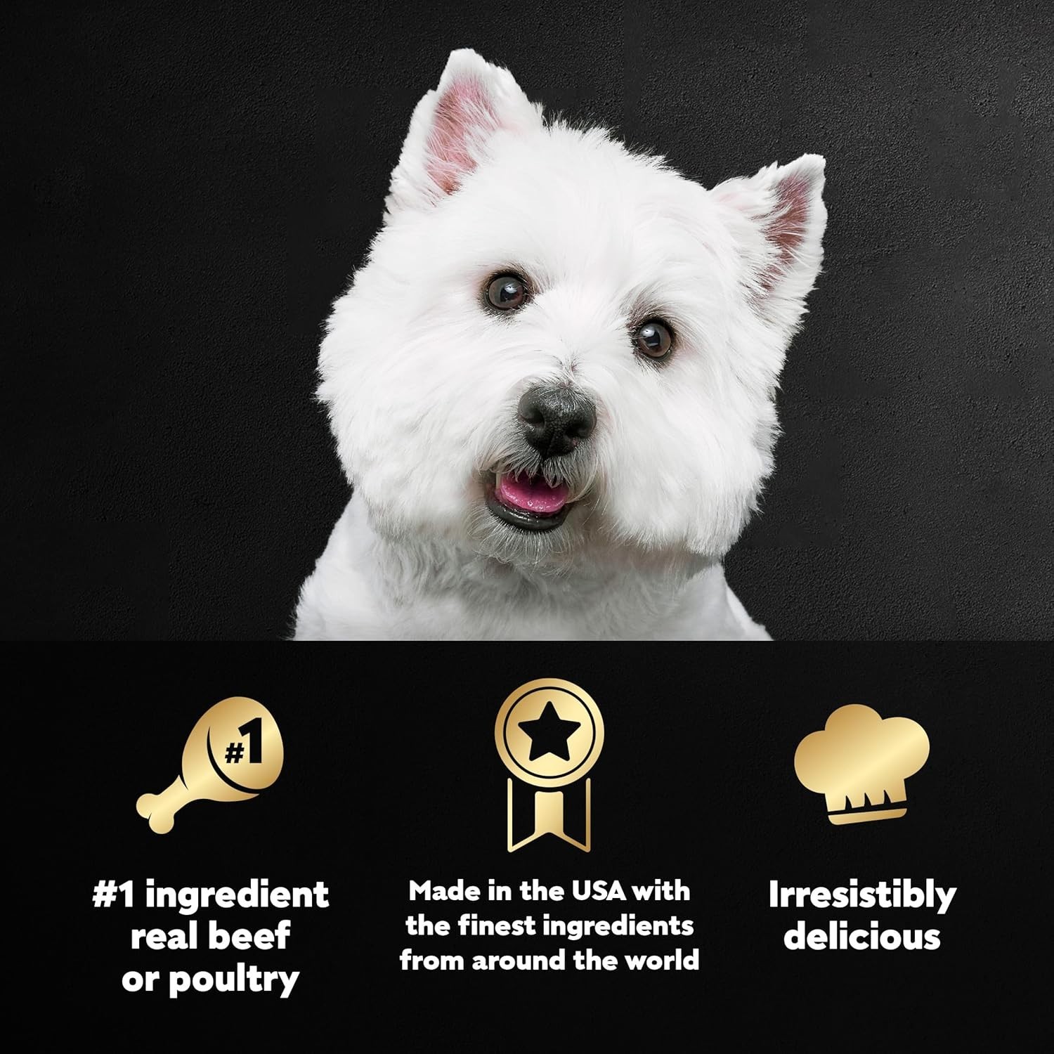 CESAR Adult Wet Dog Food Classic Loaf in Sauce, 6 Flavor – 3.5oz/36ct