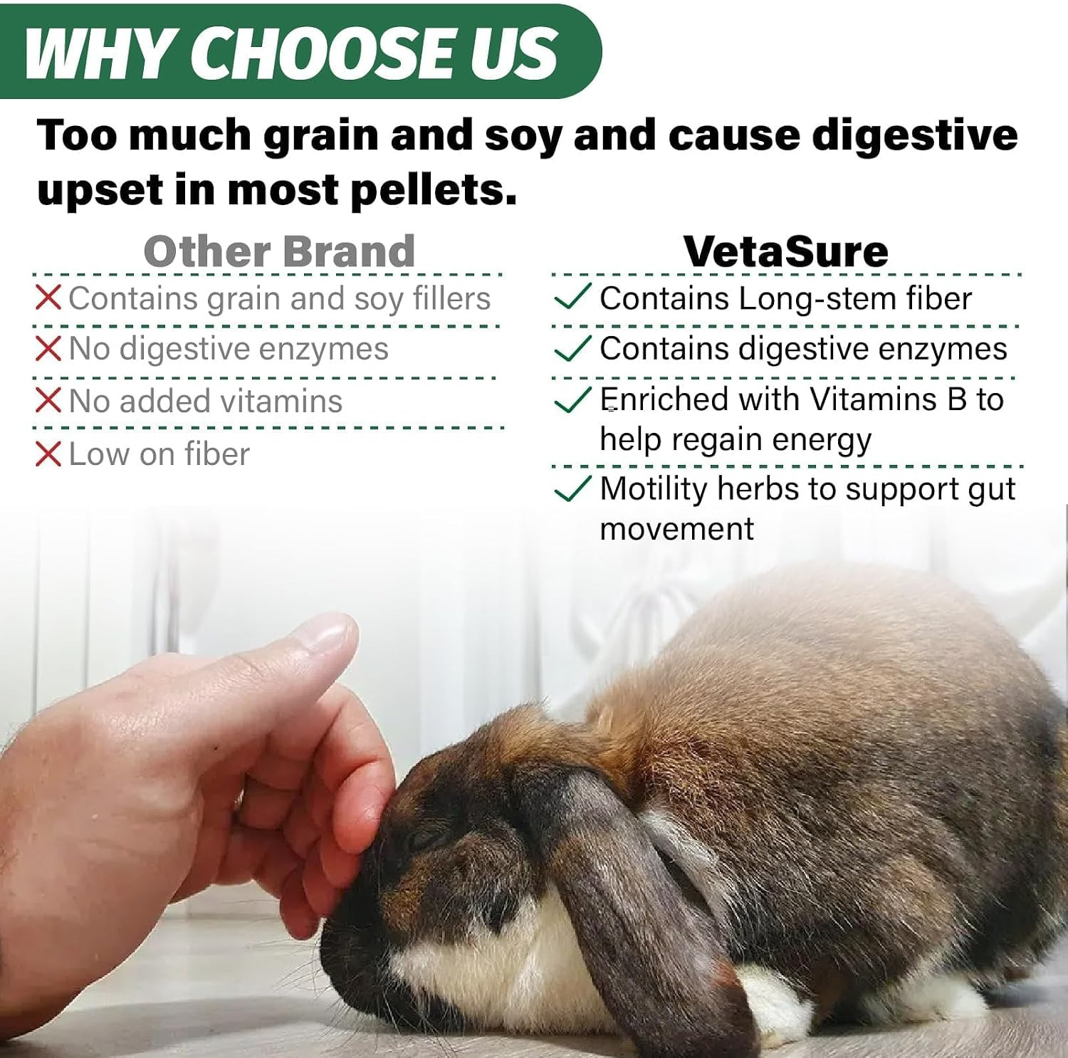 Emergency Recovery Food for Bunny and Small Herbivores, High-Fiber Timothy Hay B