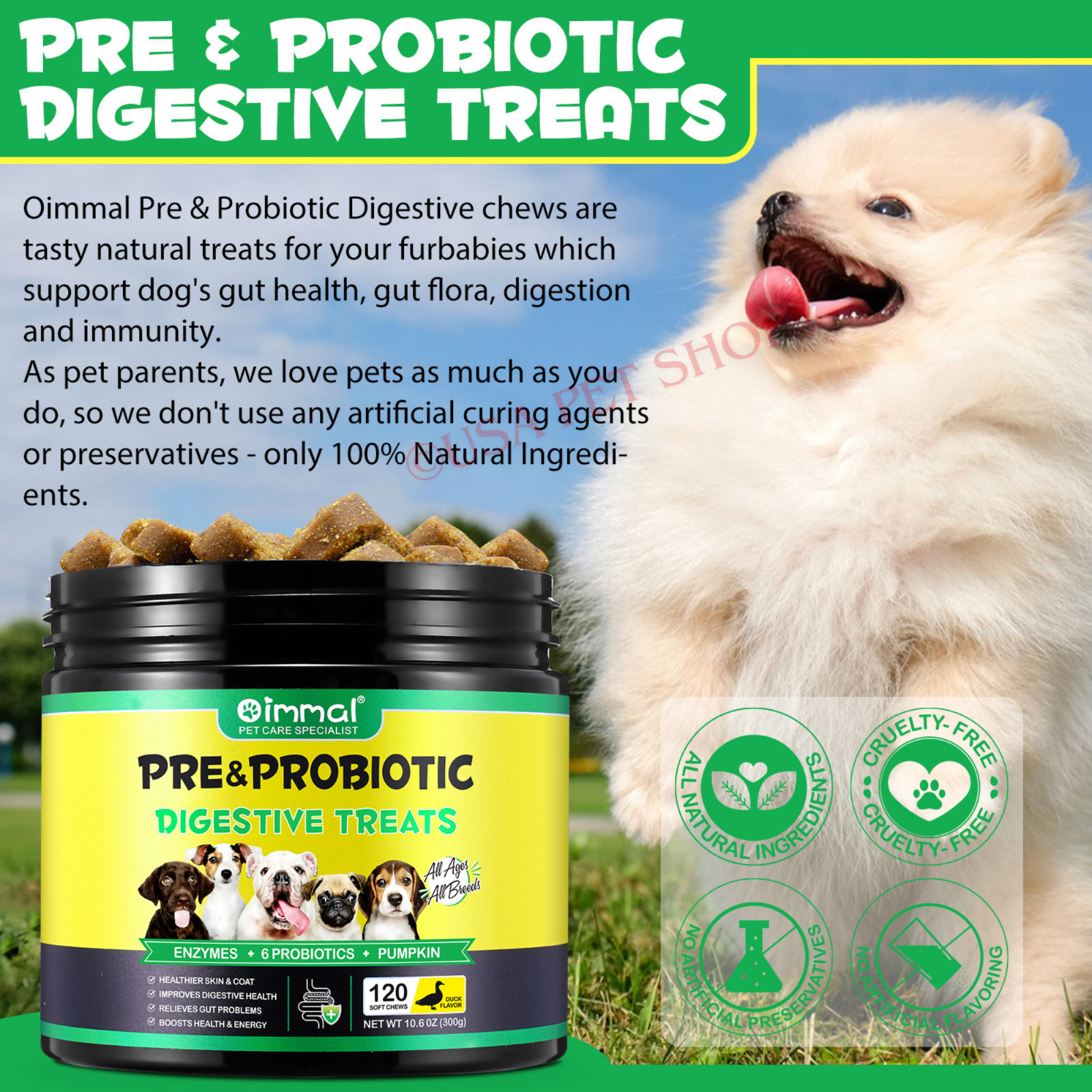 Prebiotic & Probiotic AND Natural Digestive Treats For Dogs 120 Soft Chews
