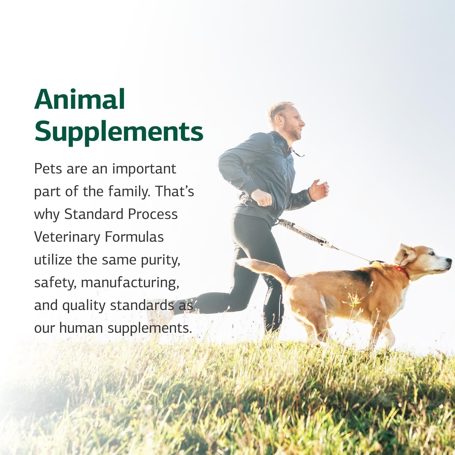 Standard Process Inc. Whole Body Multisystem Support Supplement for Canines …