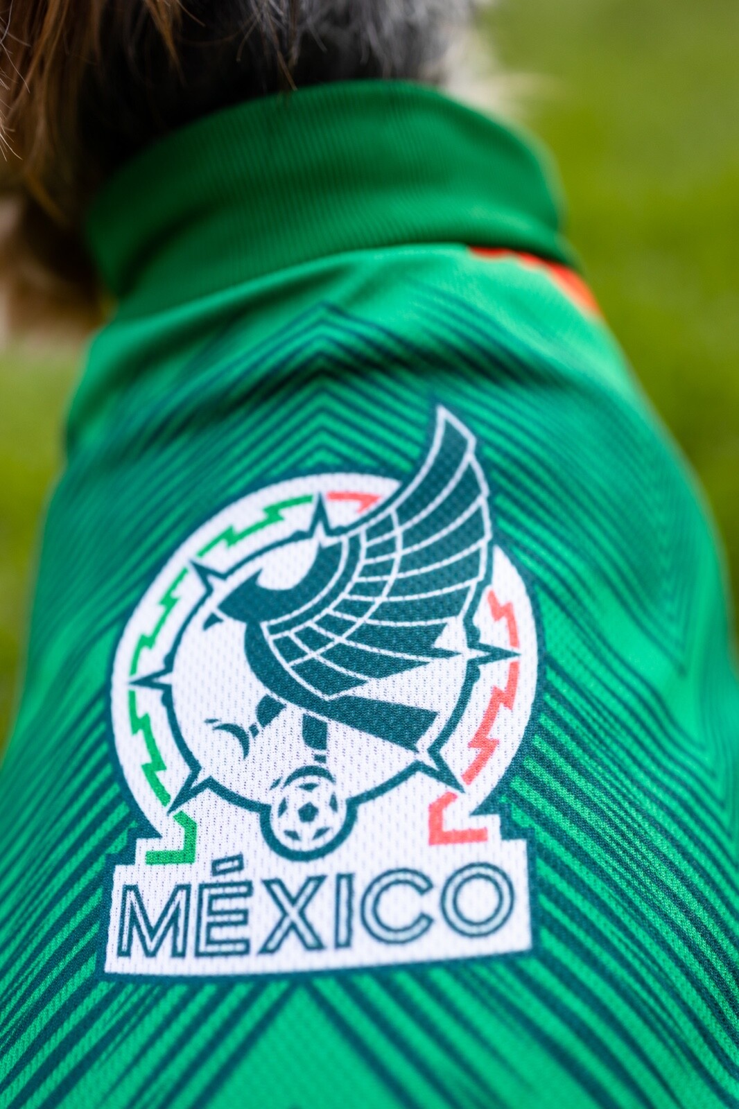 SELECCION MEXICANA Mexico Mexican SOCCER Fútbol Team PET cat /DOG uniform shirt