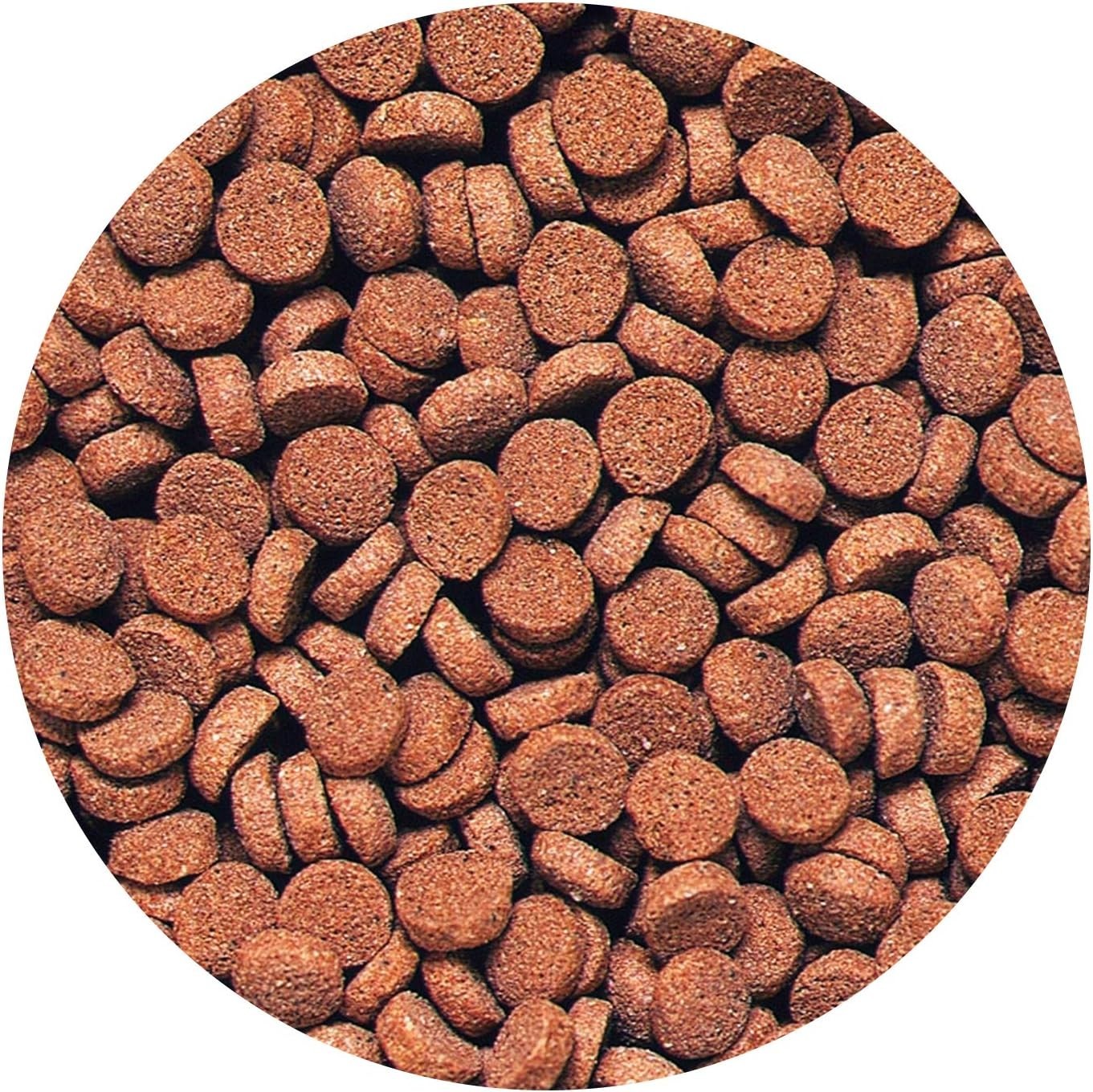 Astaxanthin-Infused Fish Pellets, 2.61 Oz