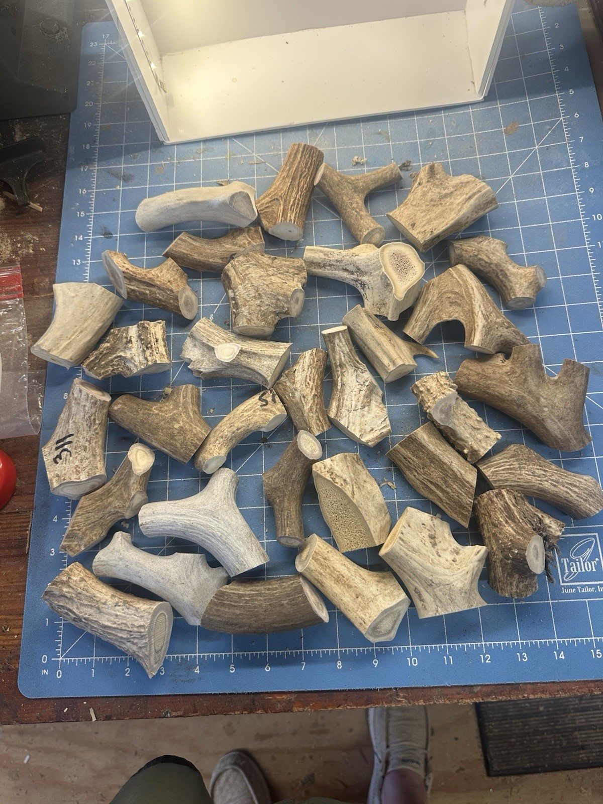 5 Pounds Real Whitetail Deer Antler Dog Chews For Medium Sized Dogs #320