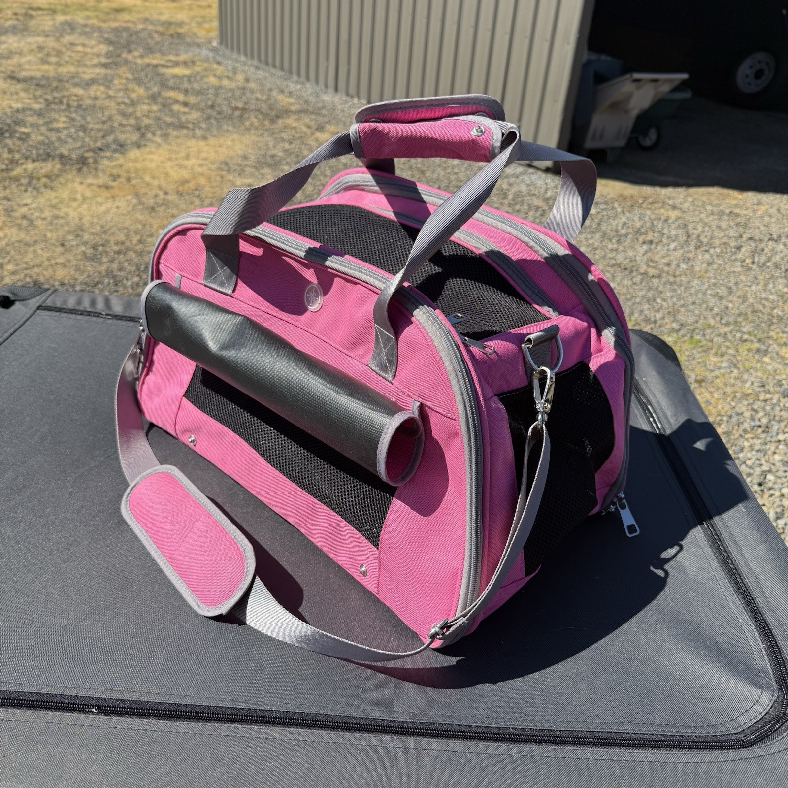 Pink Good2Go Pet Carrier, 21″L X 12″H X 12″D, up to 18 lbs