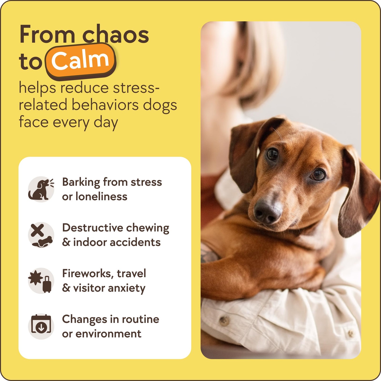 TheraPet MD 60-Day Dog Calming Diffuser – for Stress, Destructive Behavior, P…
