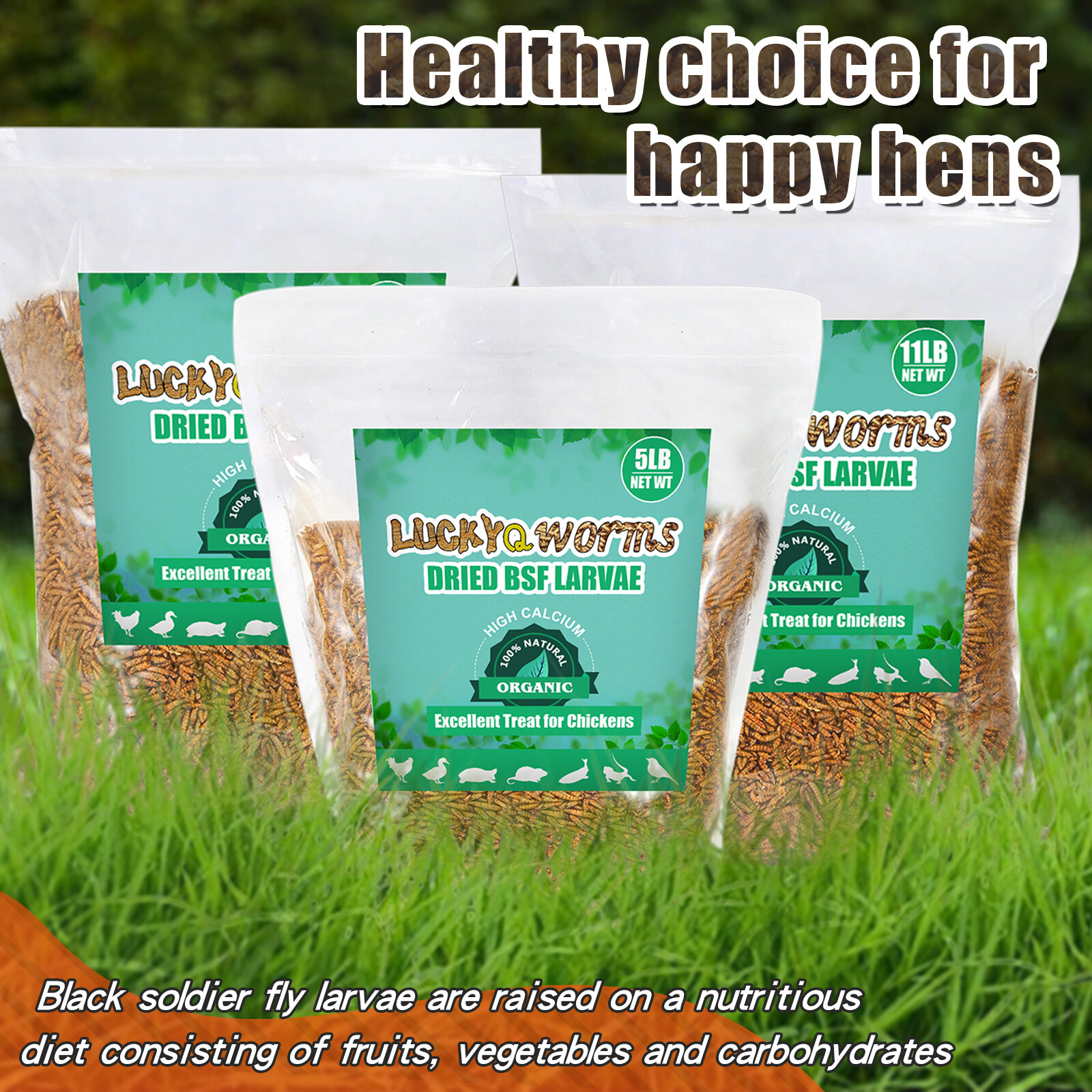 11 LBS Non-GMO Dried Black Soldier Fly Larvae Treats for Birds Chickens Hedgehog
