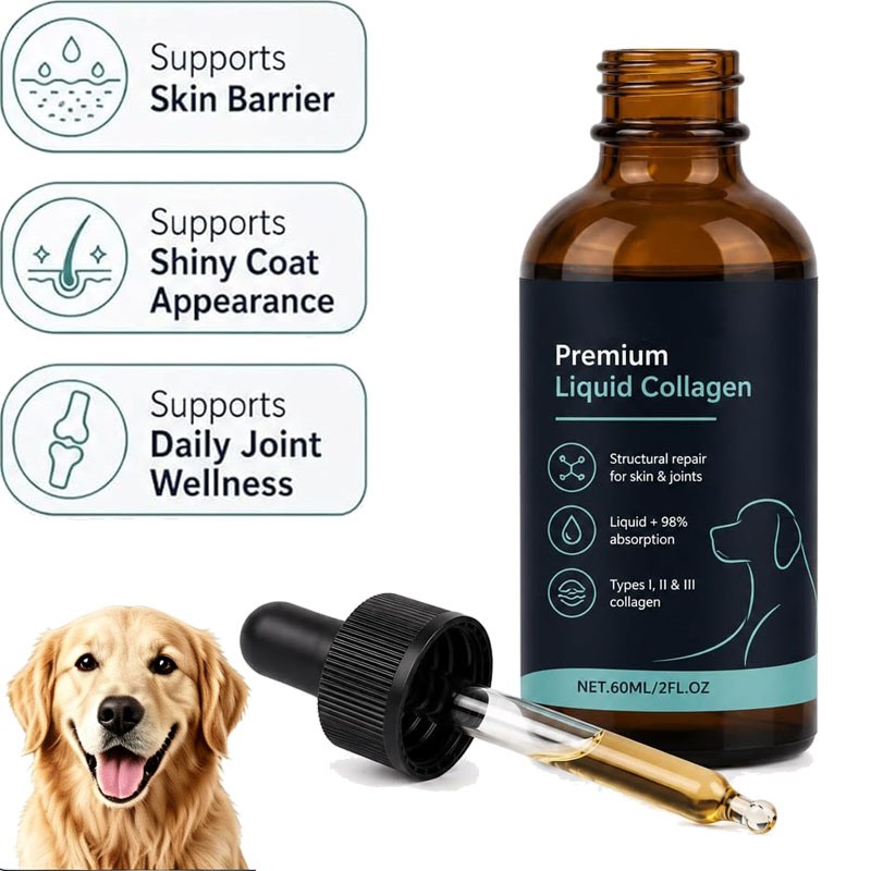 Healthy Petz Premium Liquid Collagen For Dogs, Supplement With Collagen, 60ml