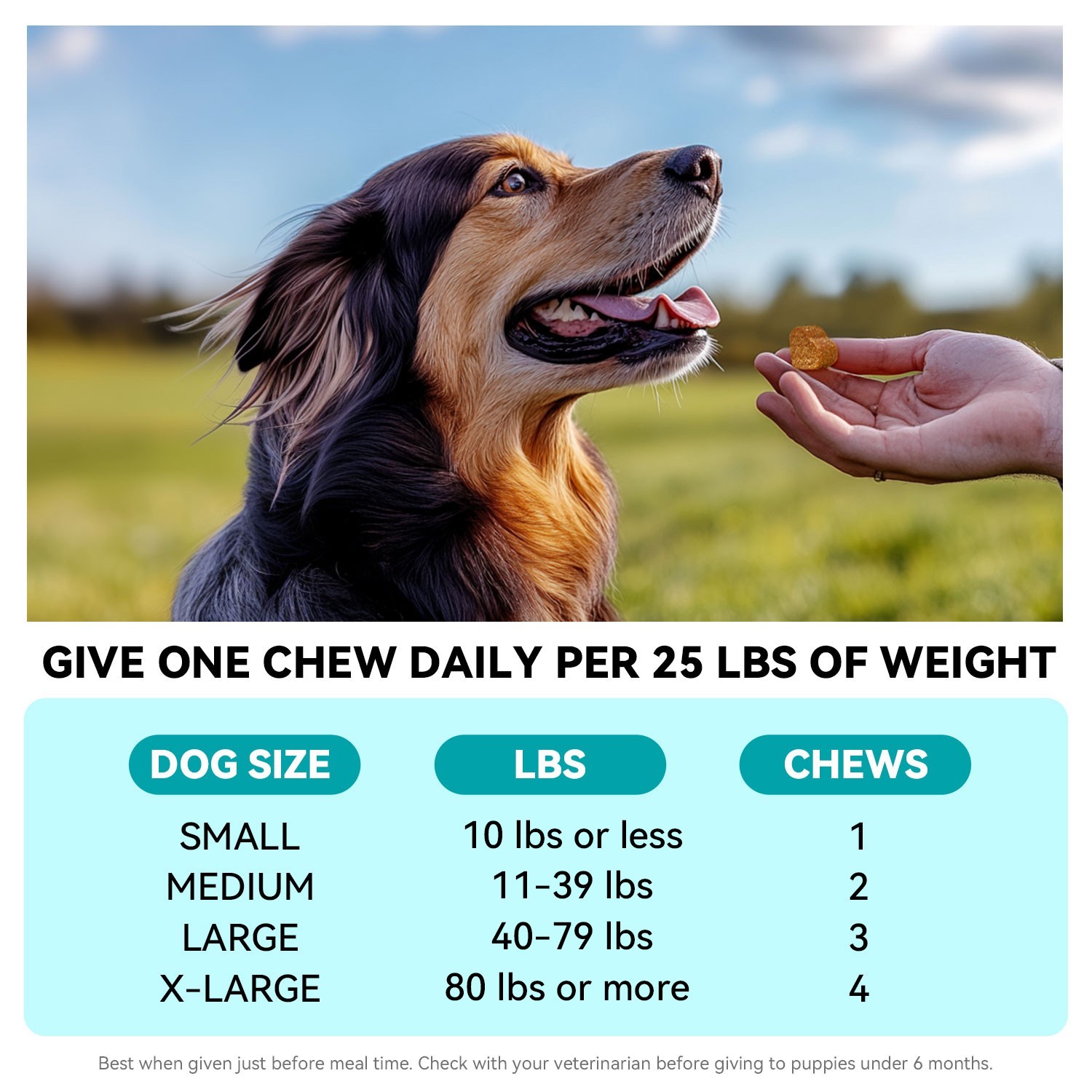 Hemp Calming Max Strength Beef Flavor for Dogs-Dog Stress and Anxiety -120 Count