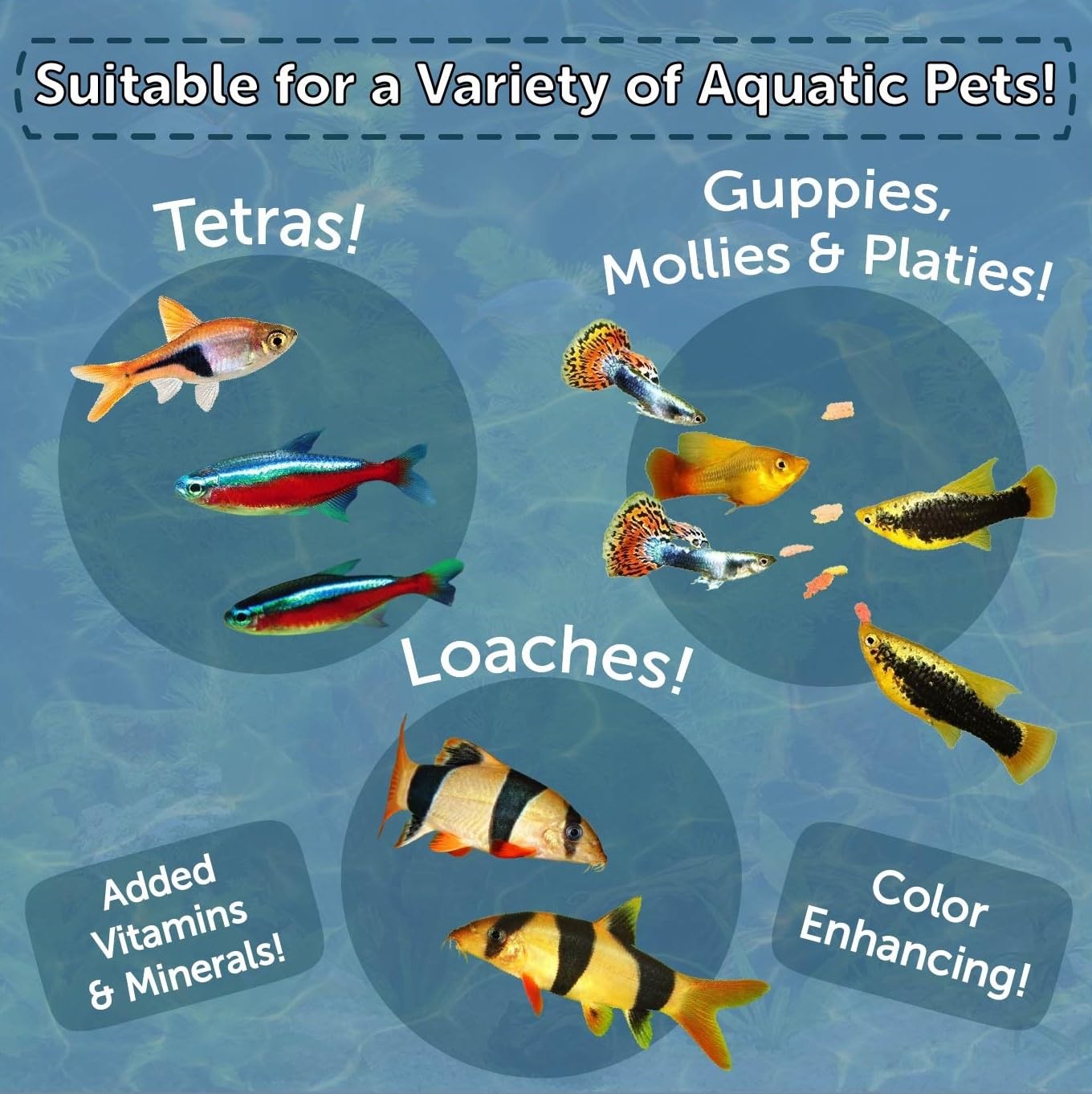 Aquatic Foods Inc. Community & Tropical Fish Flakes, for Angel Fish, Guppies,…