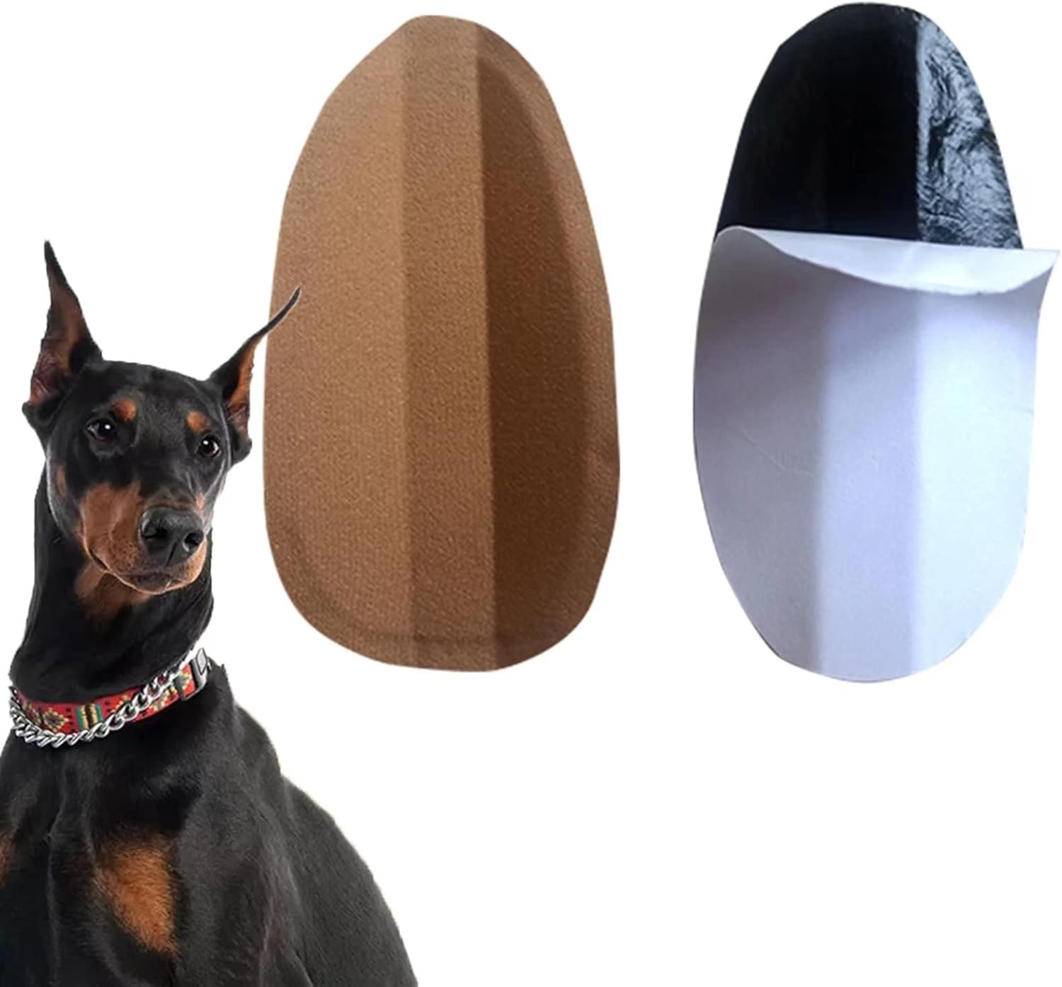 High Rebound Ear Fixed Tool for Dogs – 2.56×1.57, Easy to Use & Comfortable