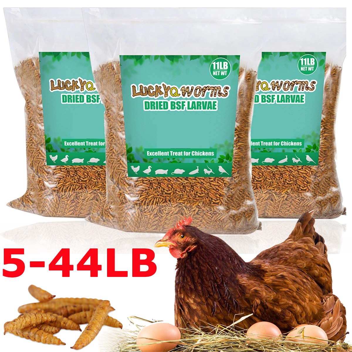 Lot Bulk Dried BSF Mealworms for Wild Birds Food Chickens Hen Fish Treats Food