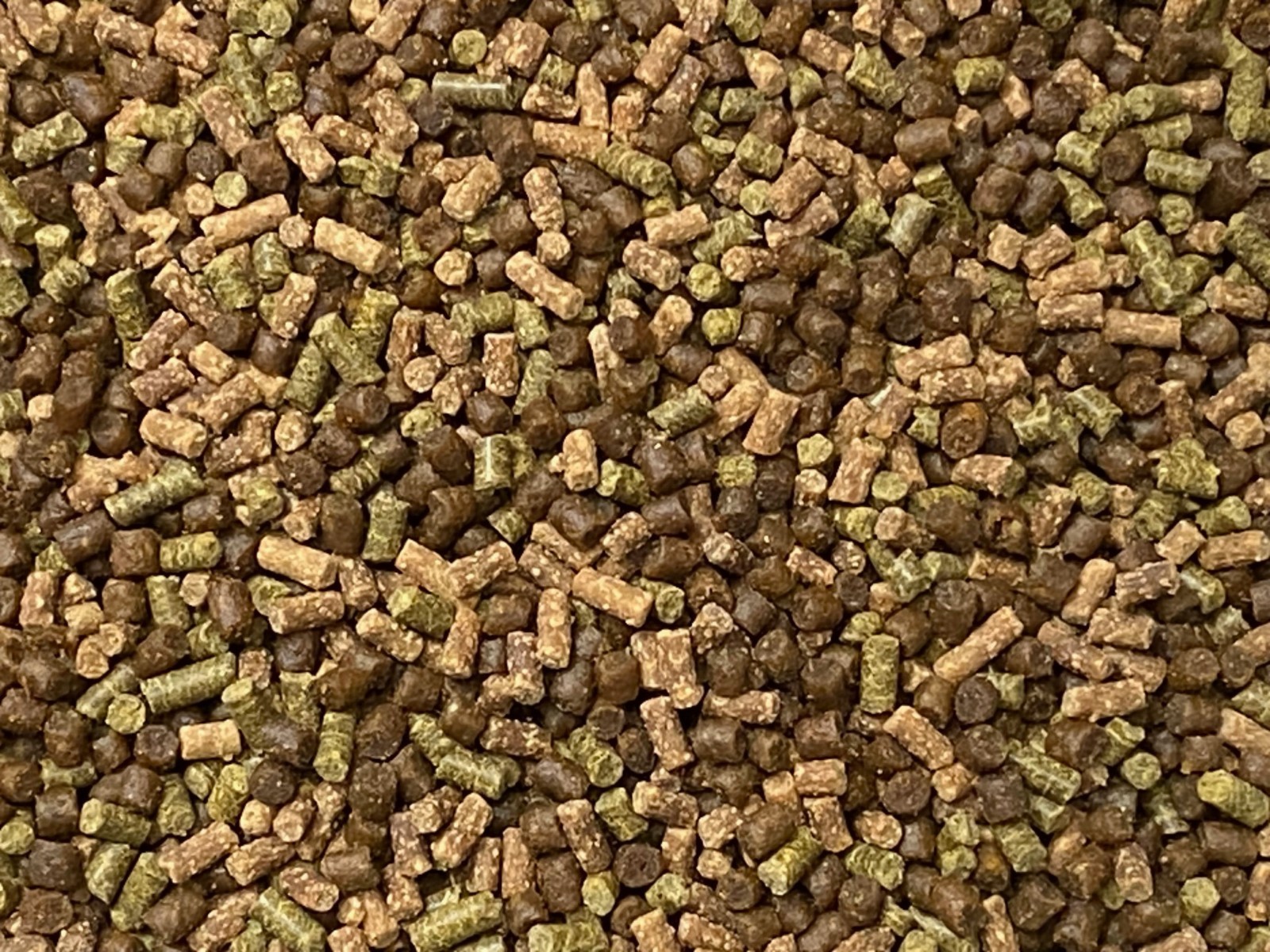 ABF CORY CATFISH MIX Bottom Feeders,Krill,Spirulina,Cory Cats,Pleco,ABF359s
