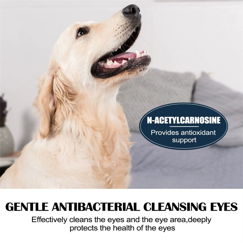 3pc Eye Drops for Pets Bacterial,Viral and Fungal & Infections Dog Cat Treatment